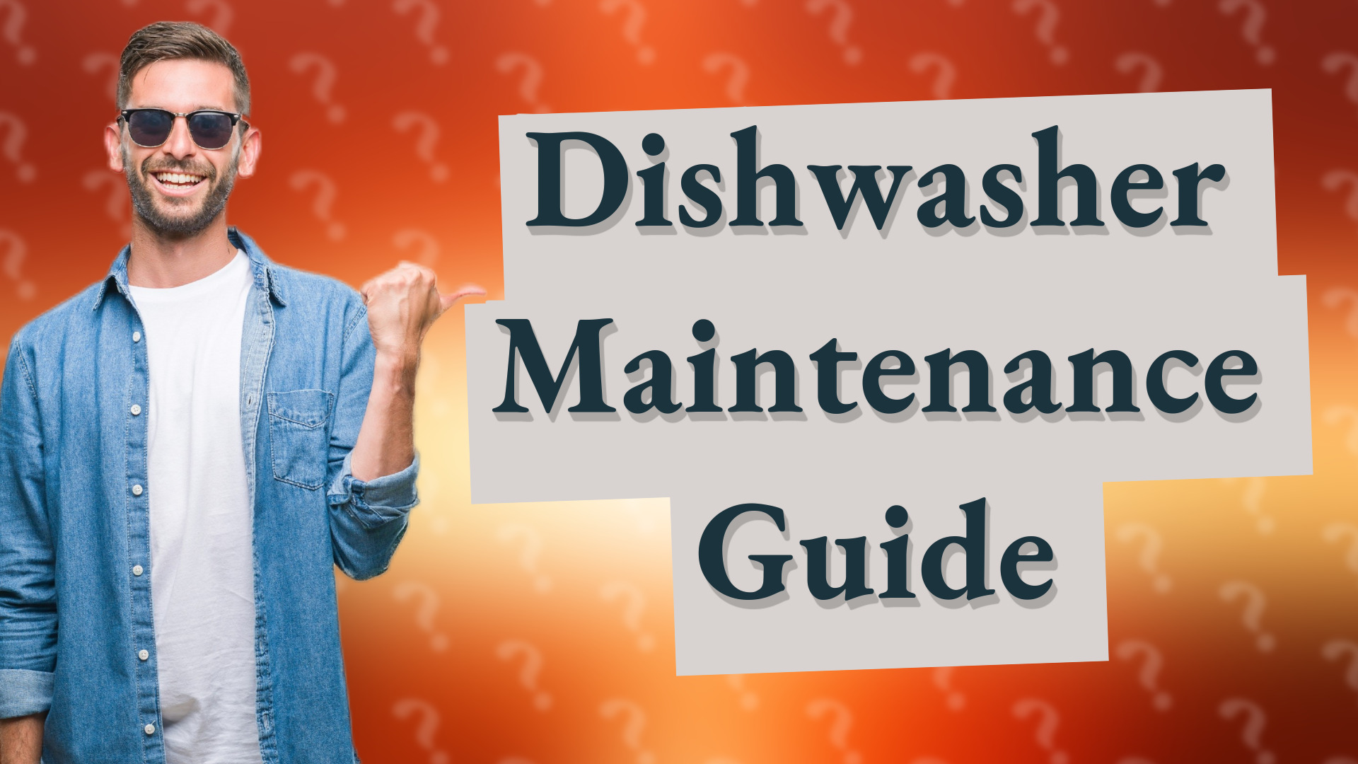 Dishwasher Maintenance Guide