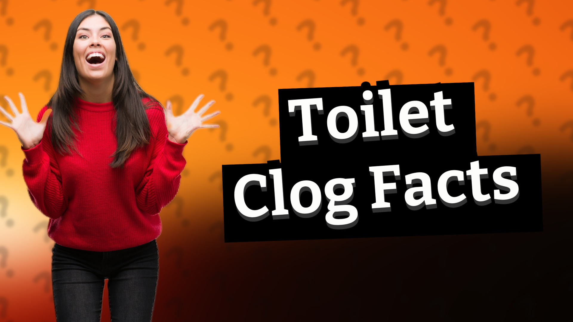 Toilet Clog Facts