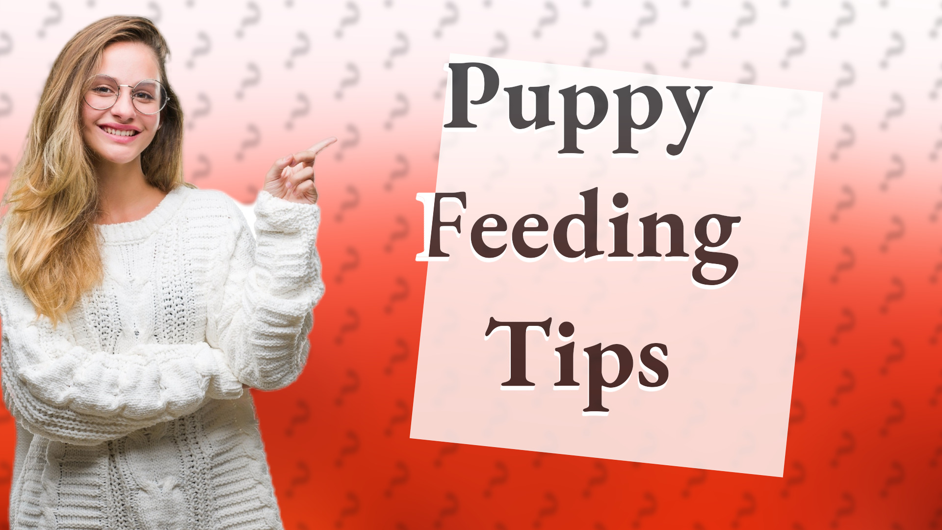 Puppy Feeding Tips