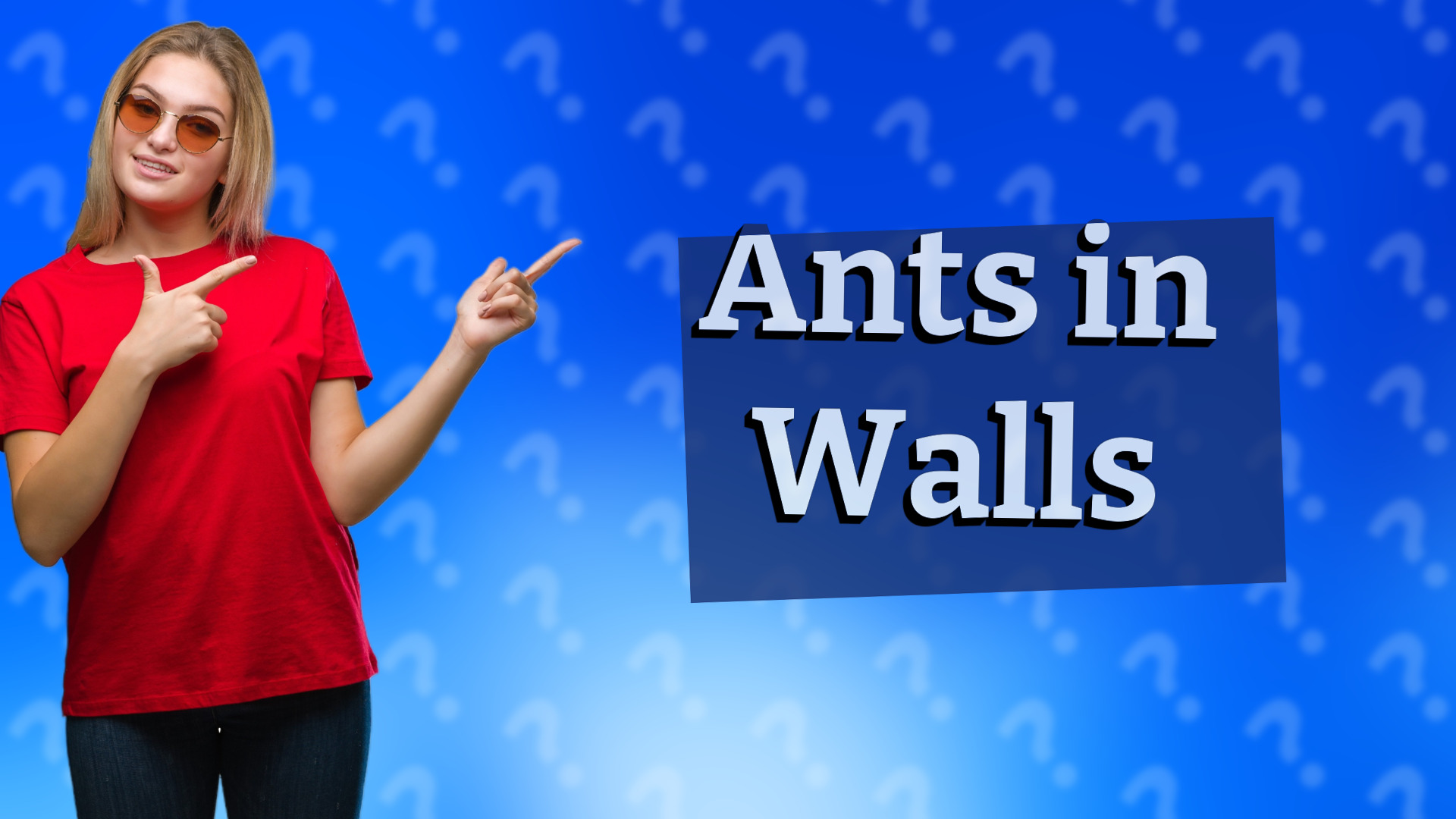Ants in Walls