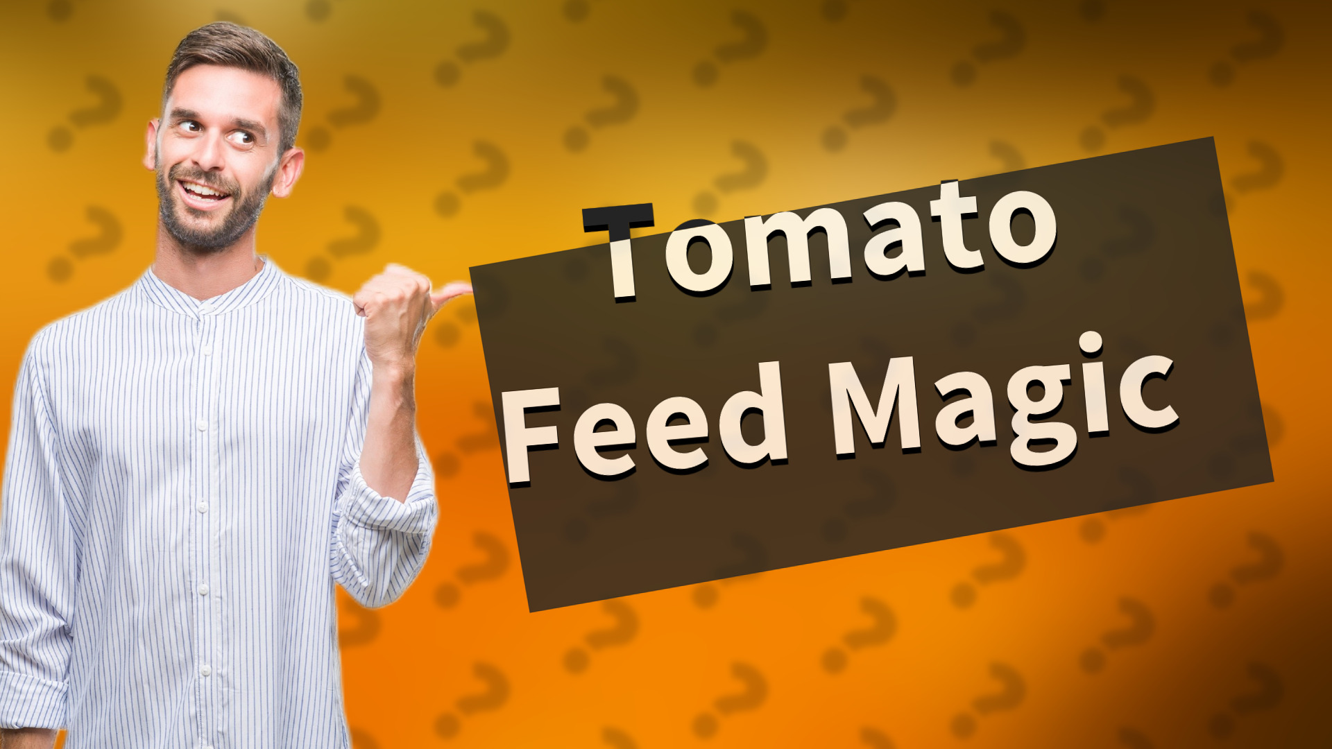 Tomato Feed Magic