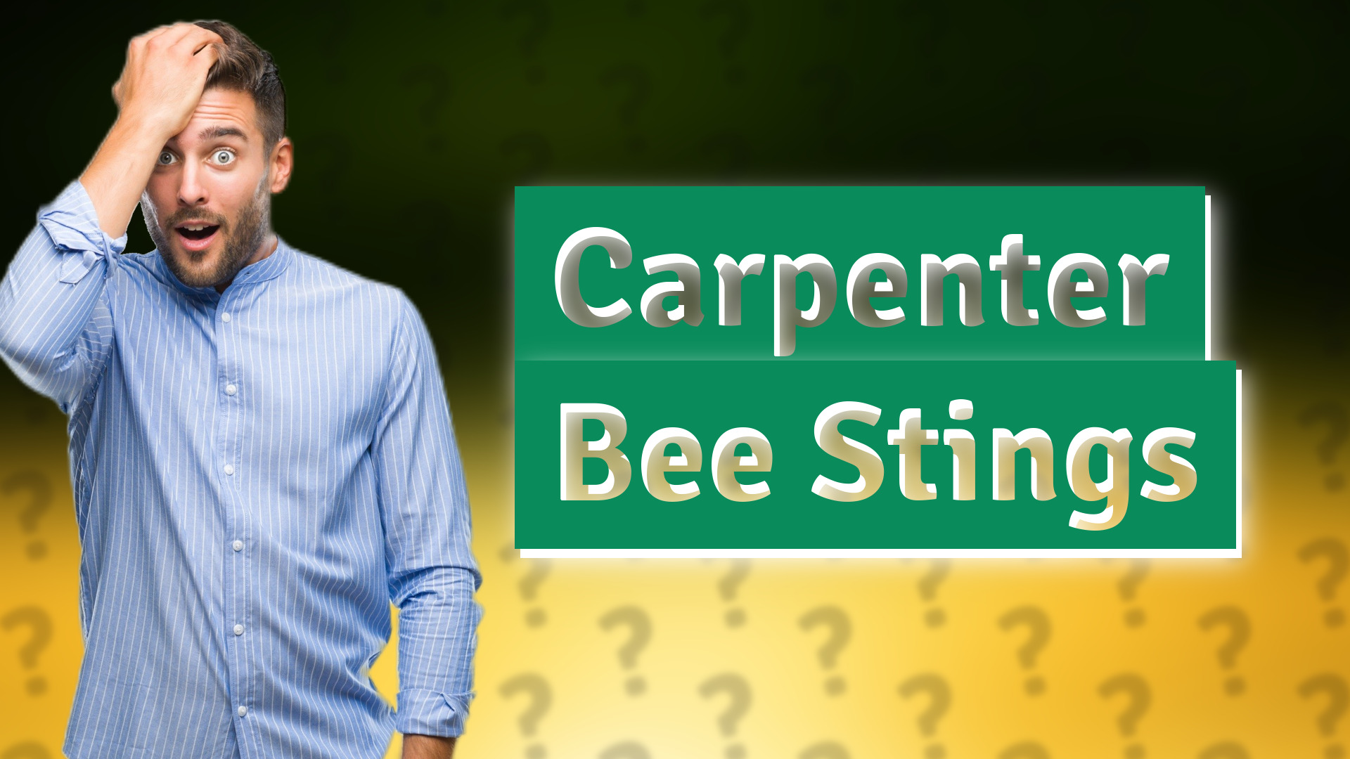 Carpenter Bee Stings