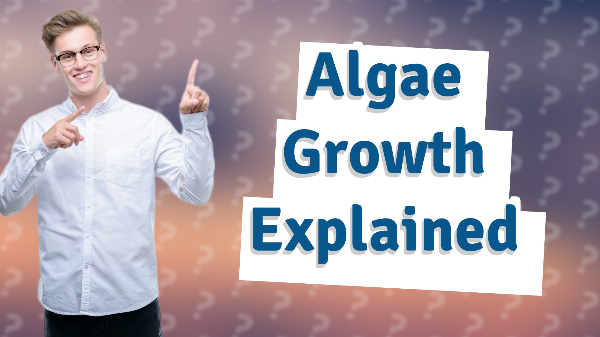 Algae Growth Explained