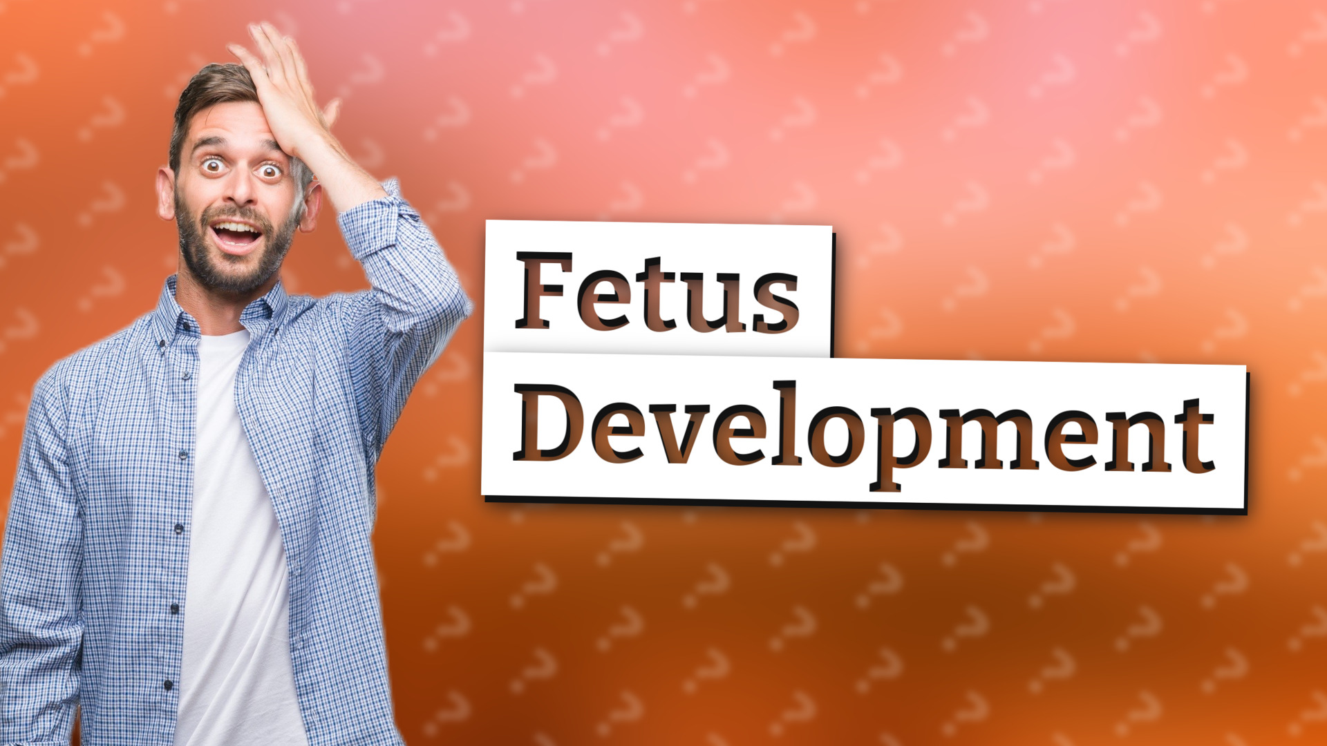 Fetus Development