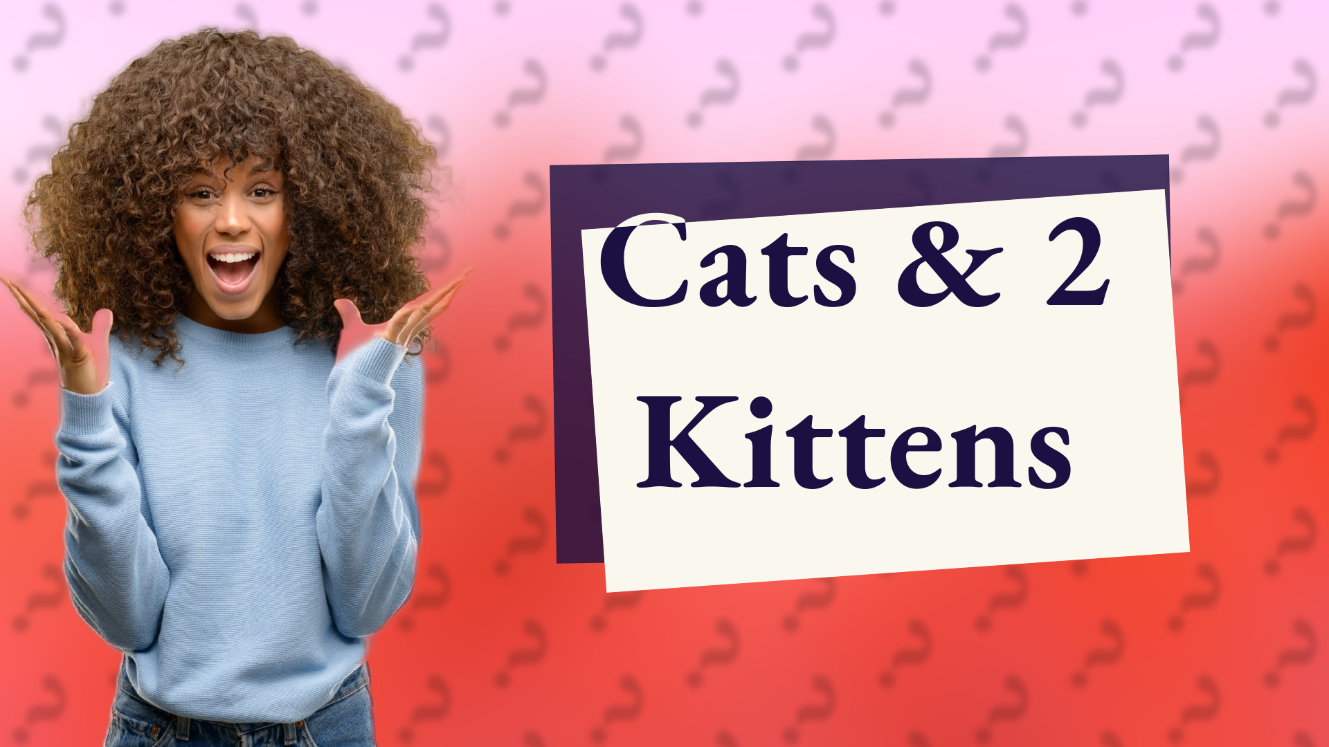 Cats & 2 Kittens