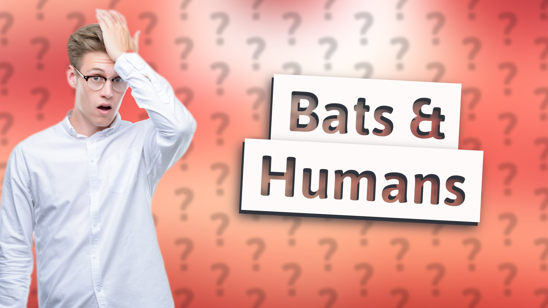 Bats & Humans