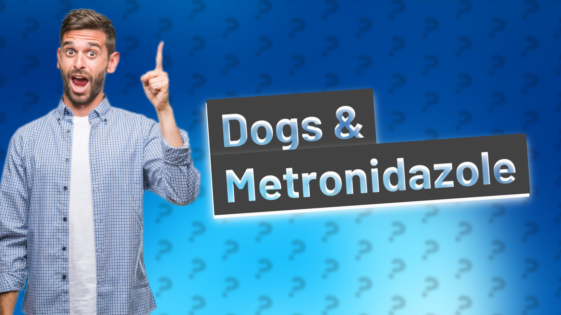 Dogs & Metronidazole