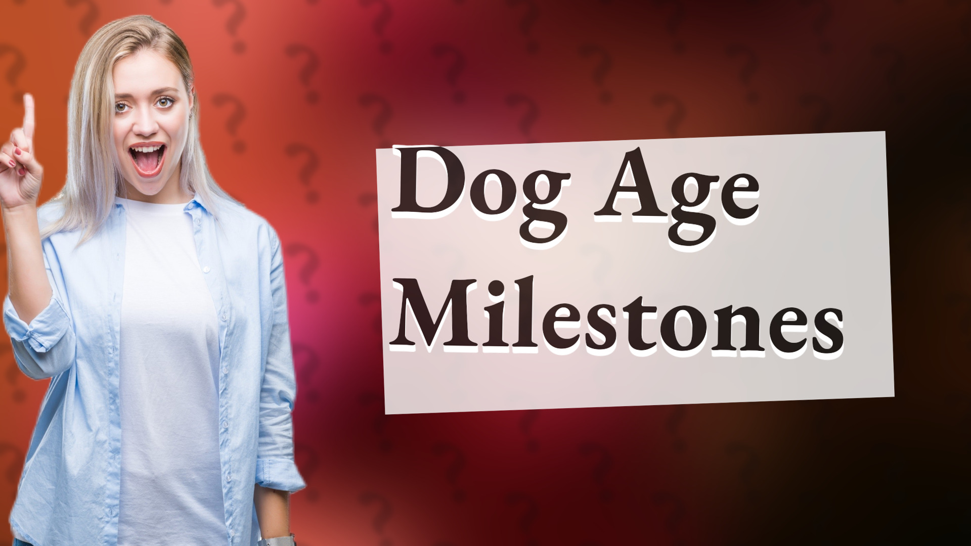 Dog Age Milestones