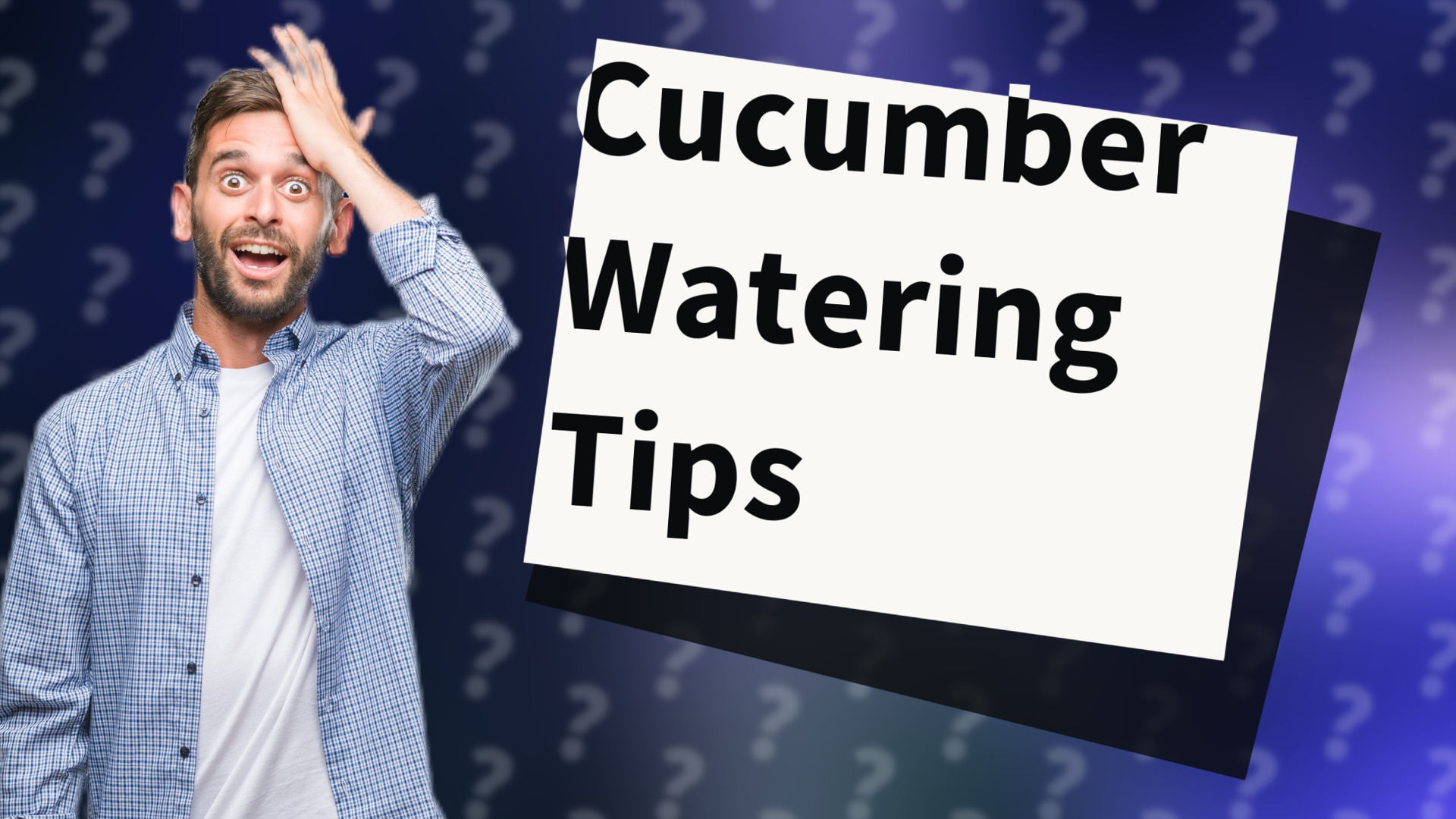 Cucumber Watering Tips
