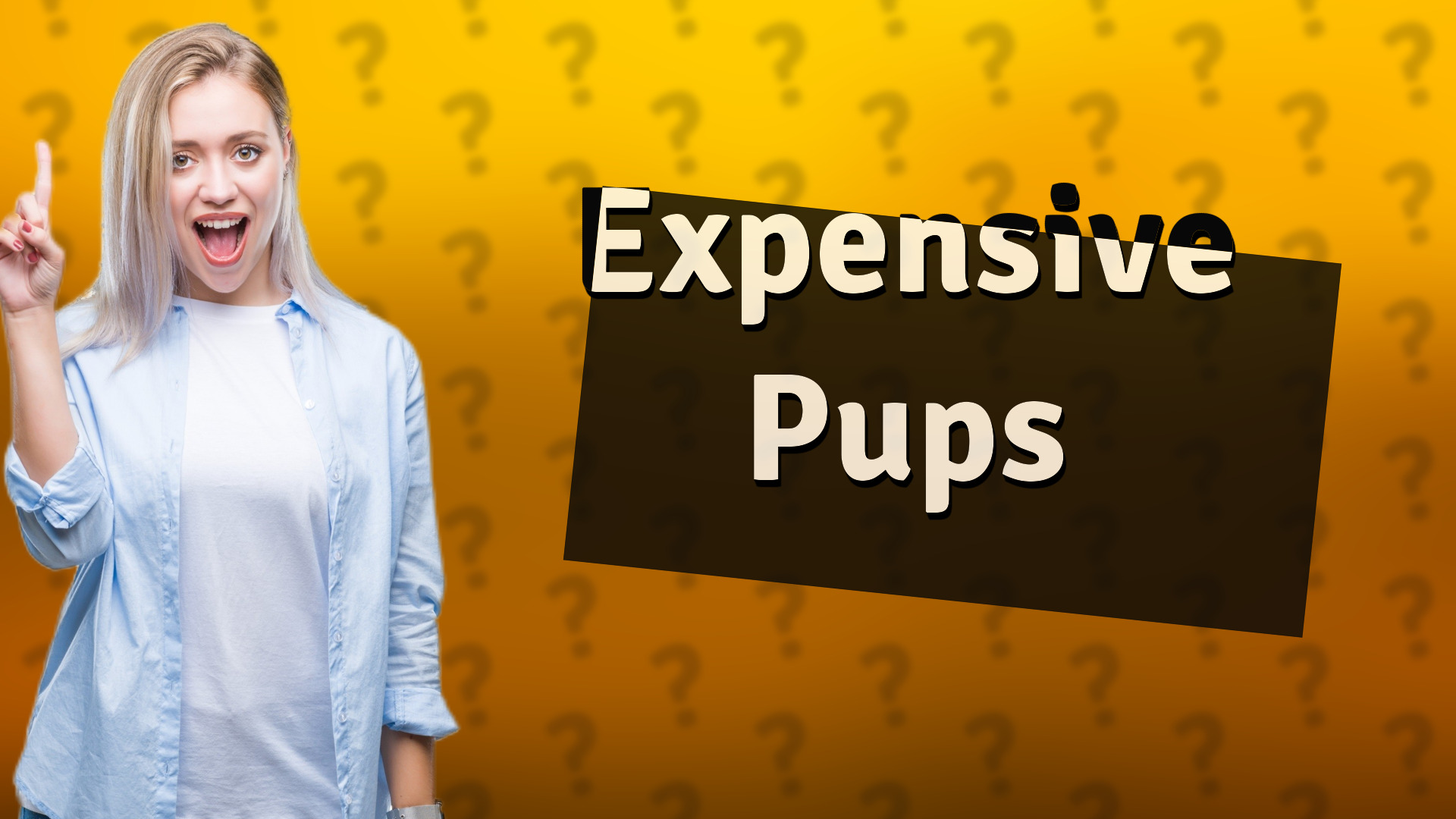 Expensive Pups