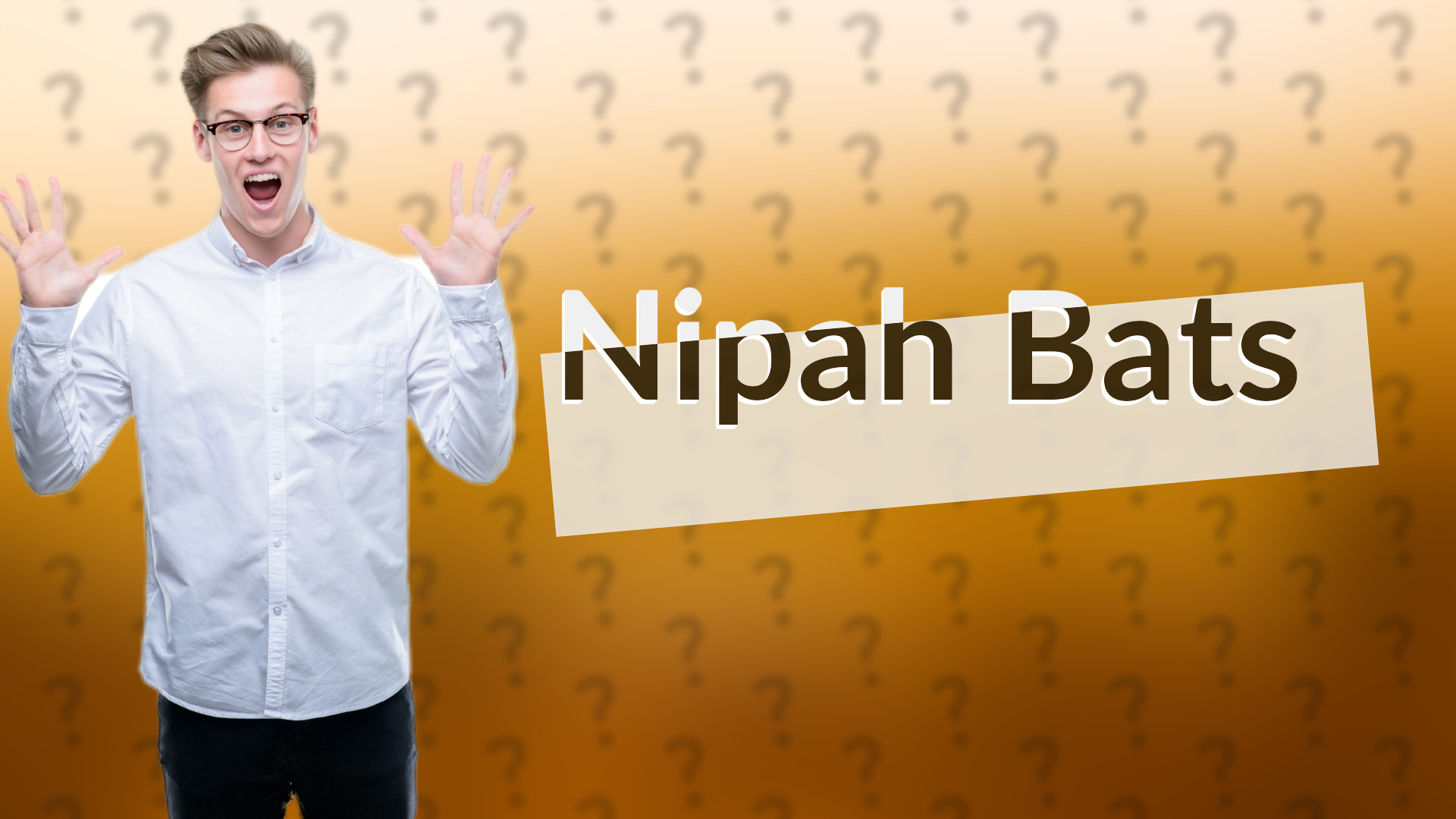 Nipah Bats