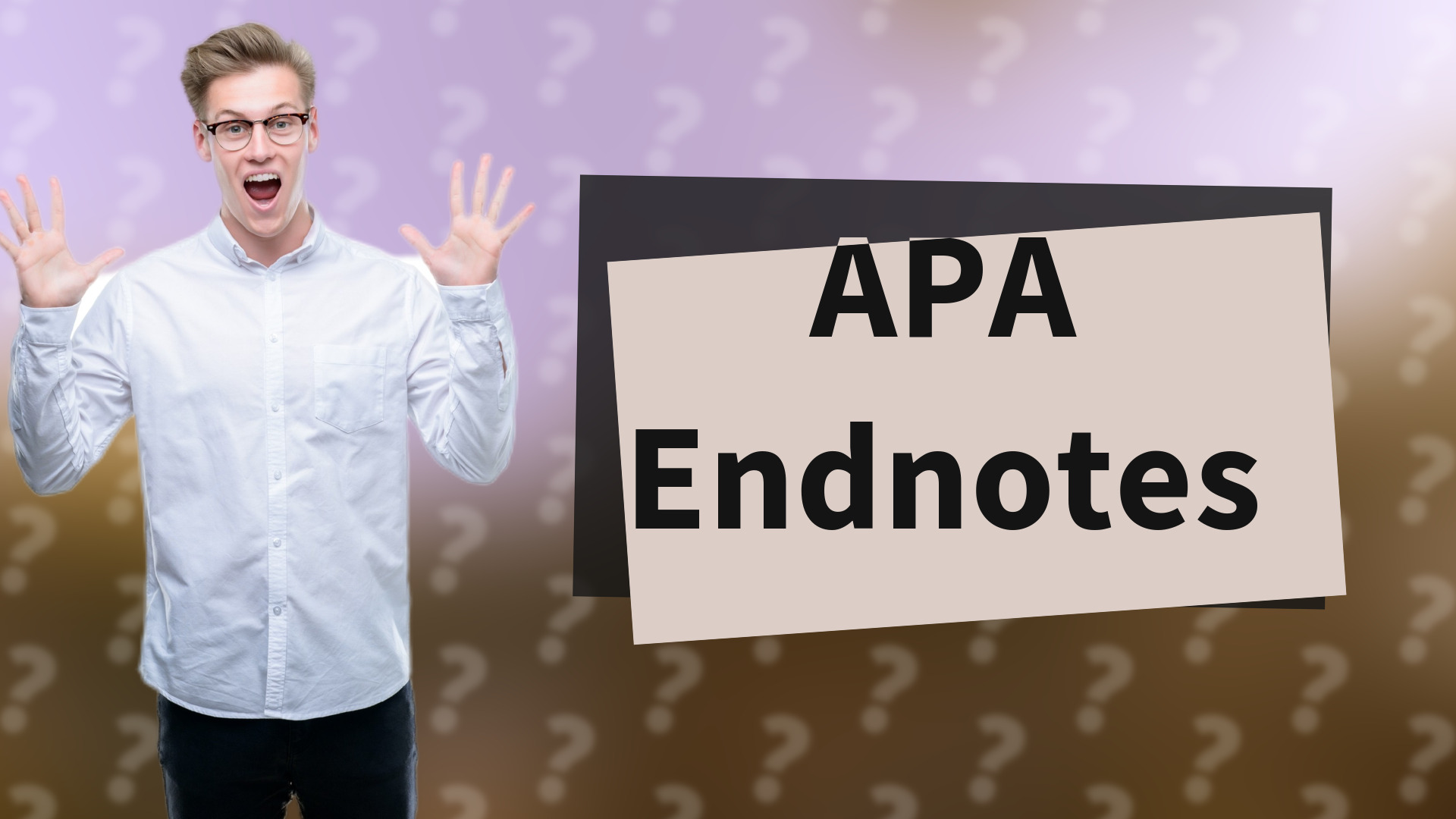 APA Endnotes