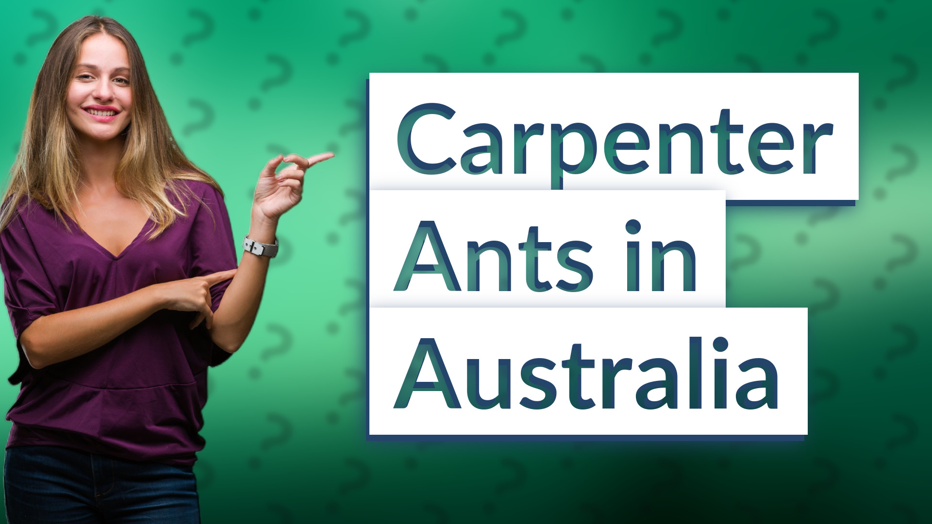 Carpenter Ants in Australia