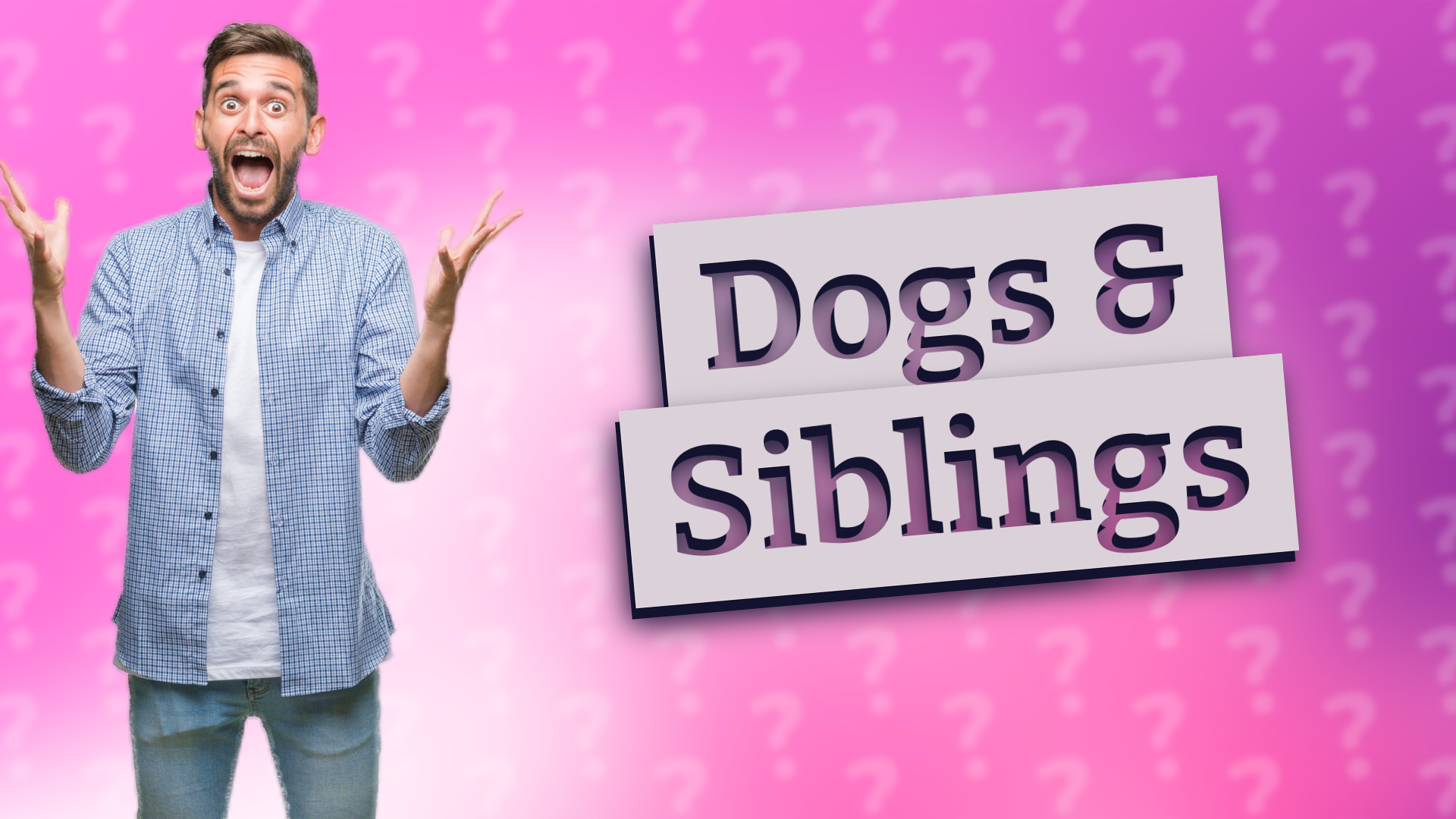 Dogs & Siblings