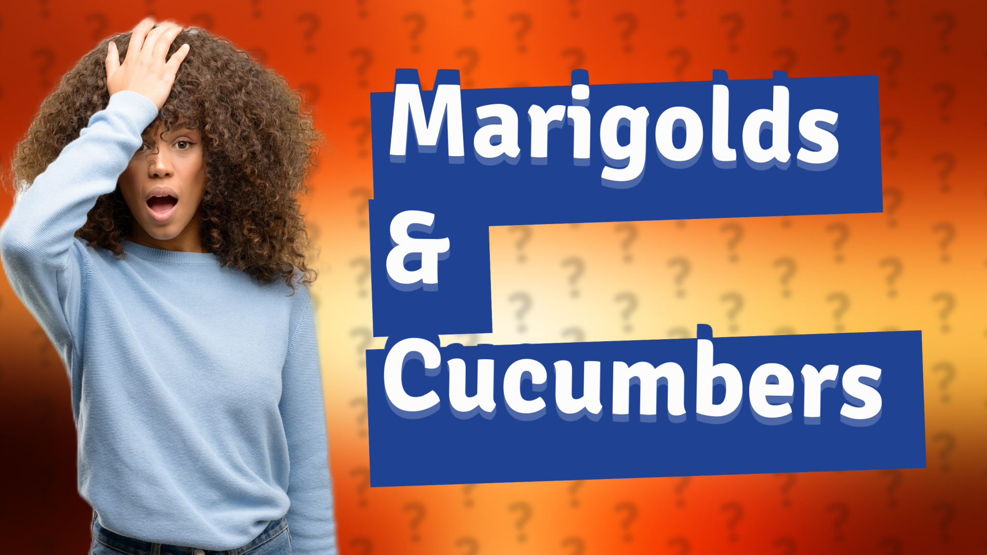 Marigolds & Cucumbers