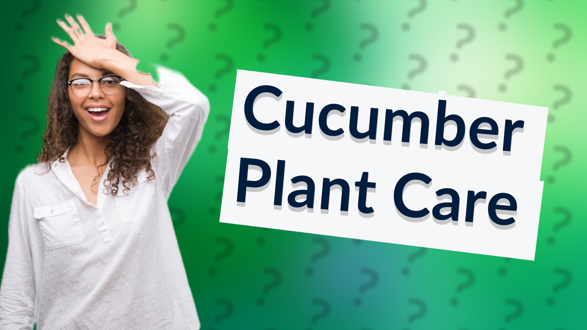 Cucumber Plant Care