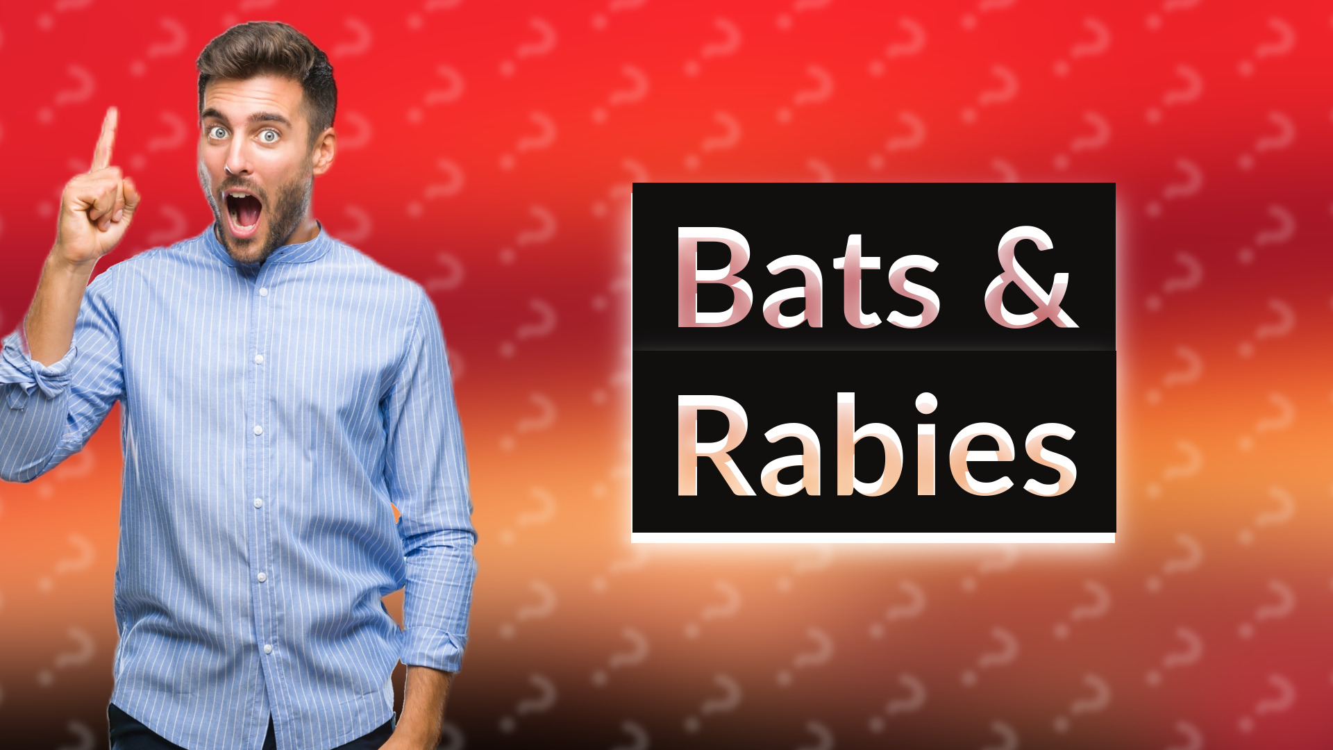 Bats & Rabies