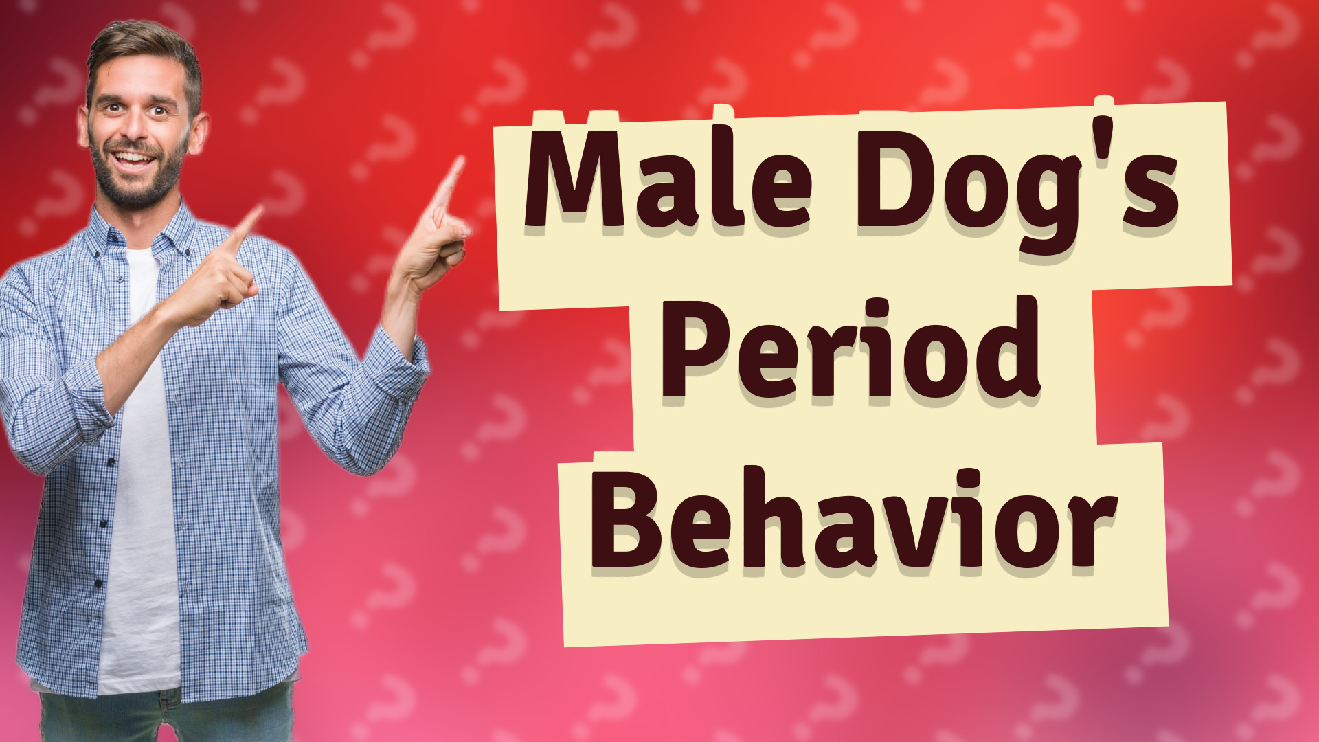 Male Dog's Period Behavior