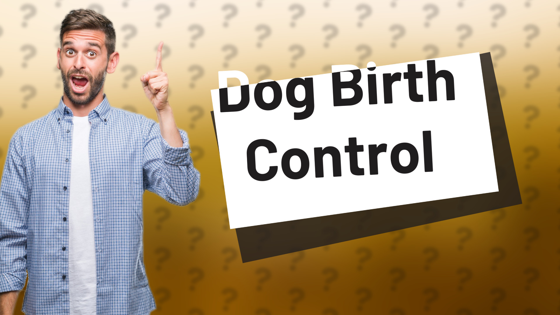 Dog Birth Control