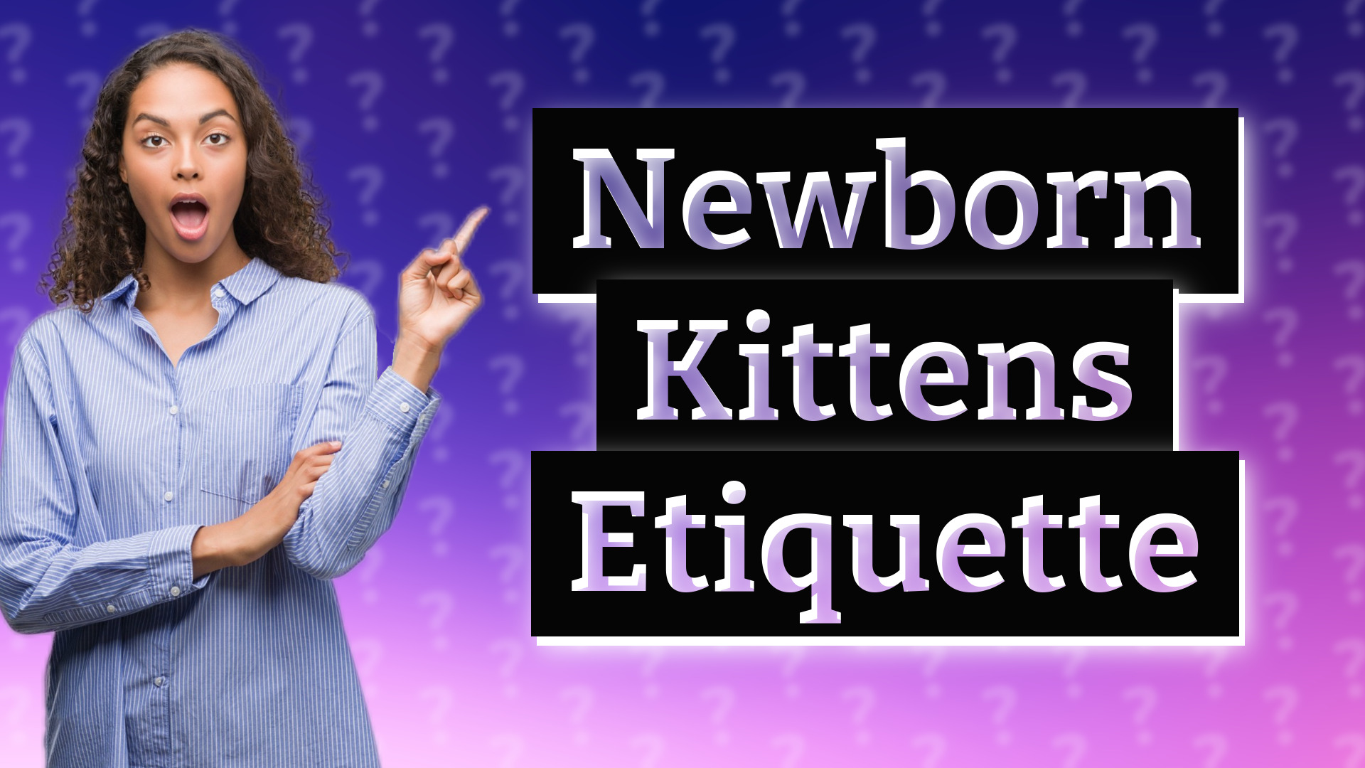 Newborn Kittens Etiquette