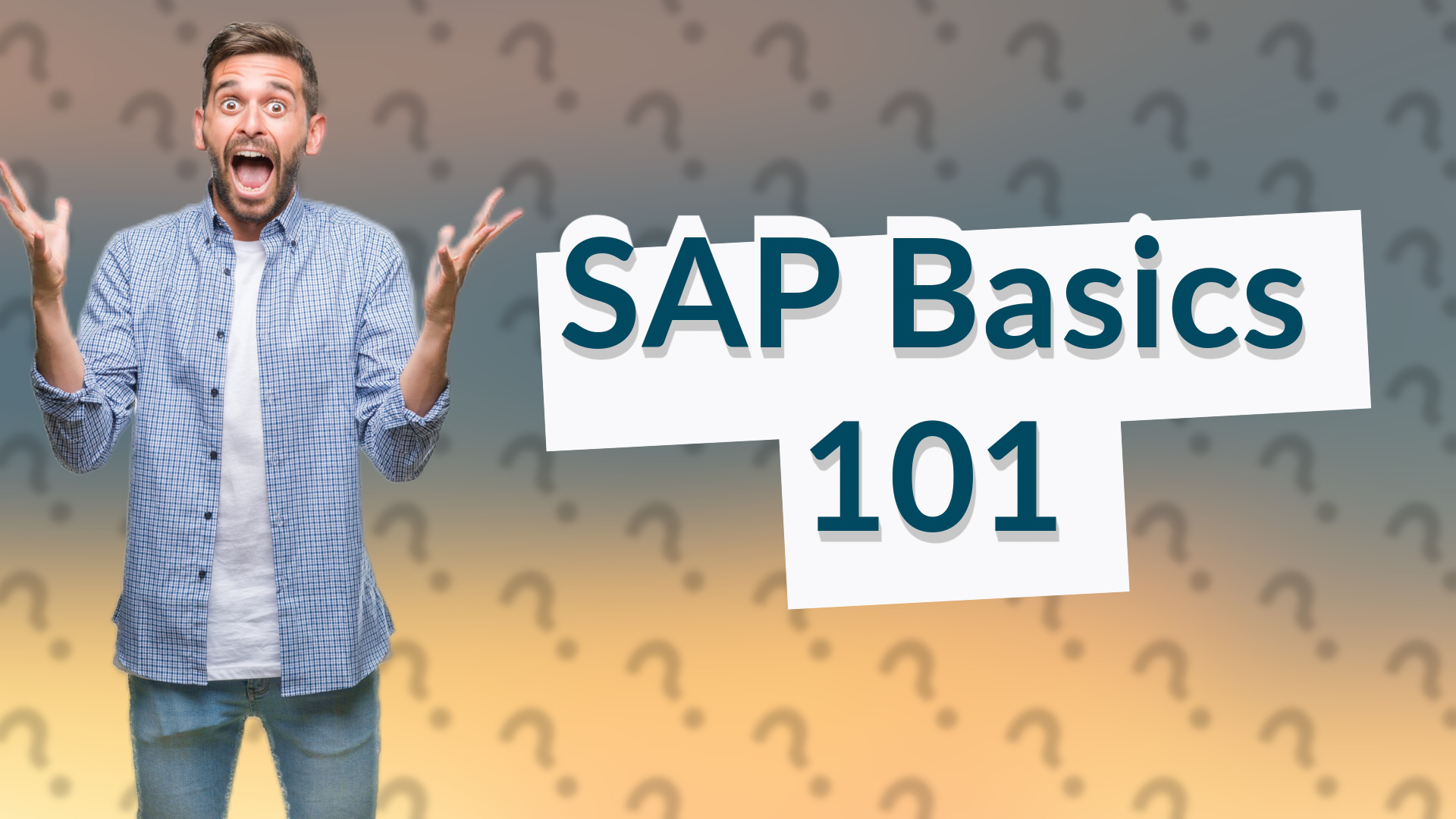 SAP Basics 101