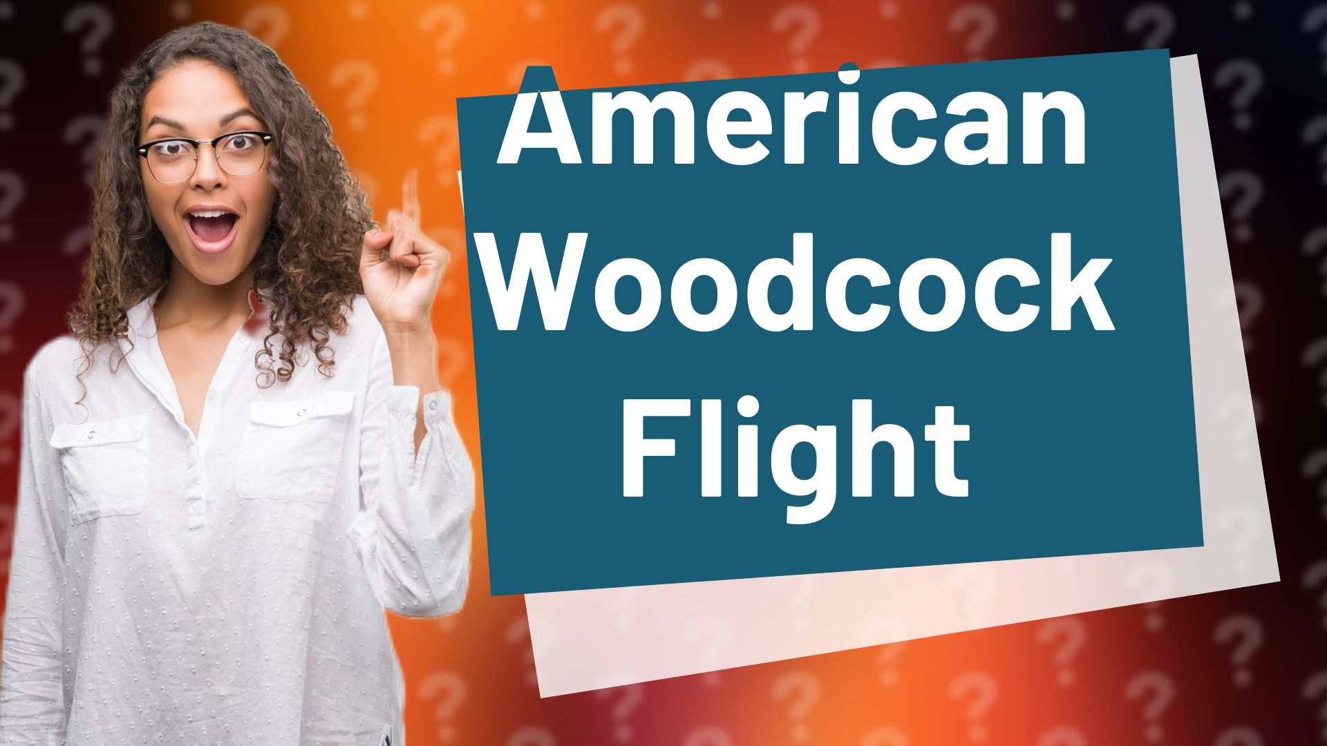 American Woodcock Flight