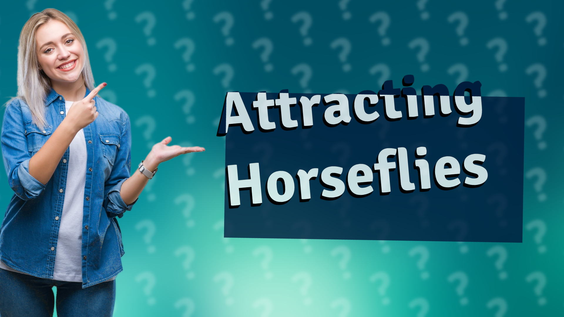 Attracting Horseflies