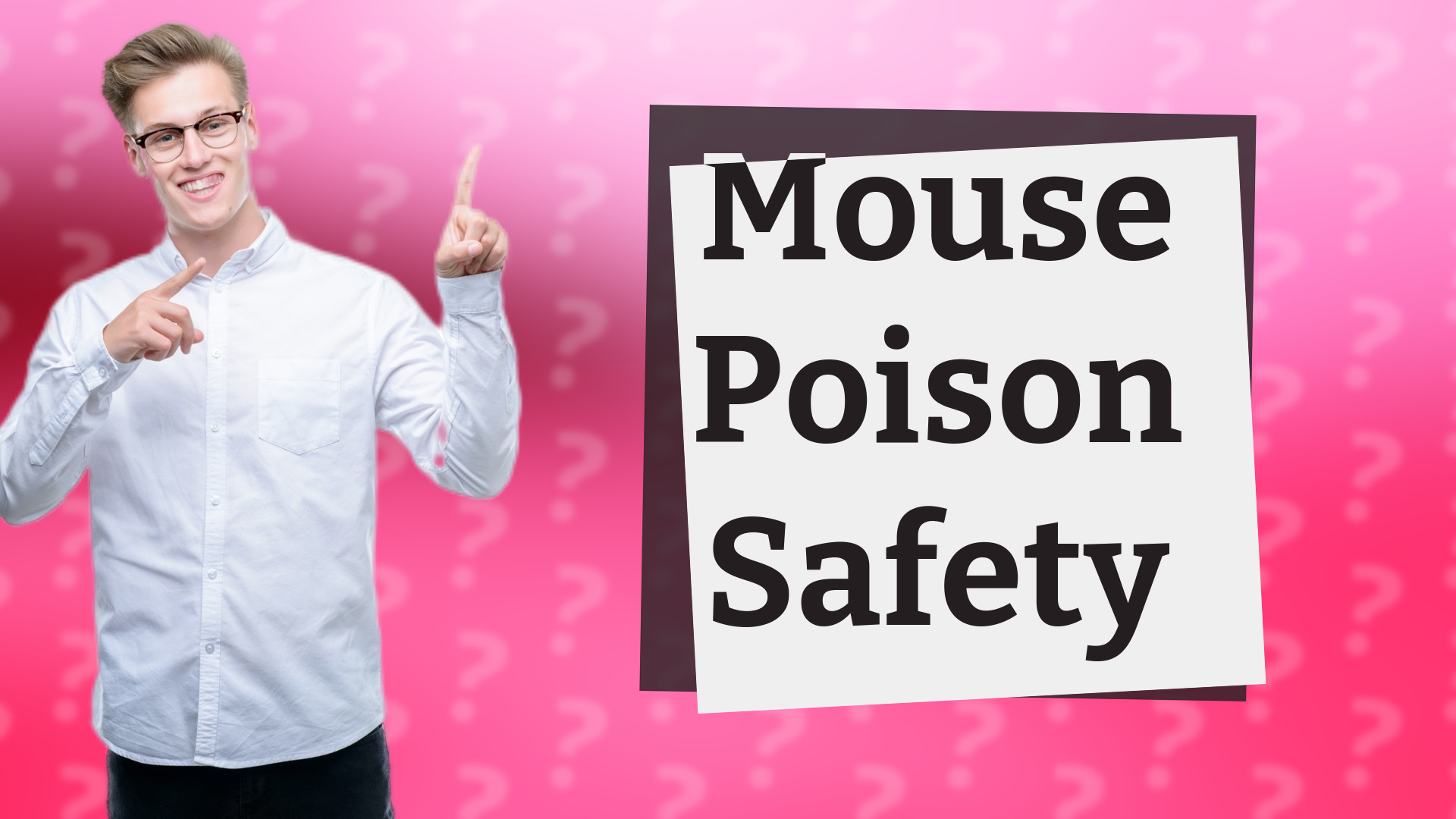 Mouse Poison Safety