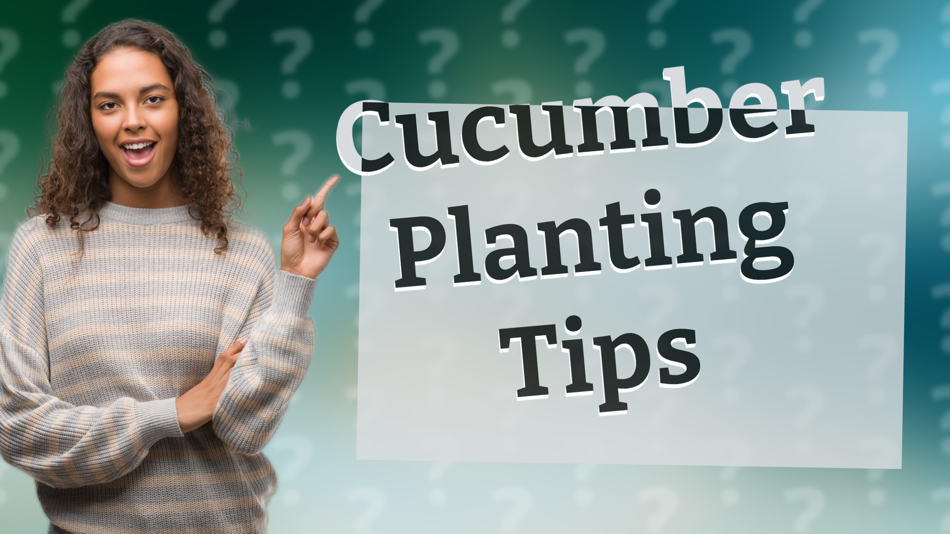 Cucumber Planting Tips