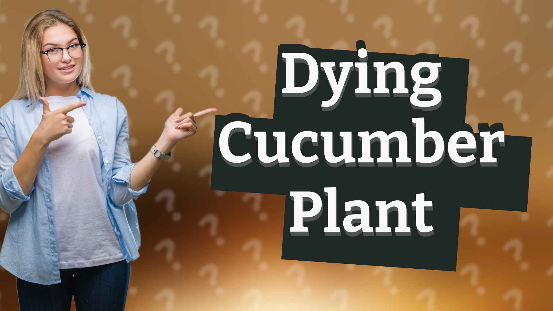 Dying Cucumber Plant