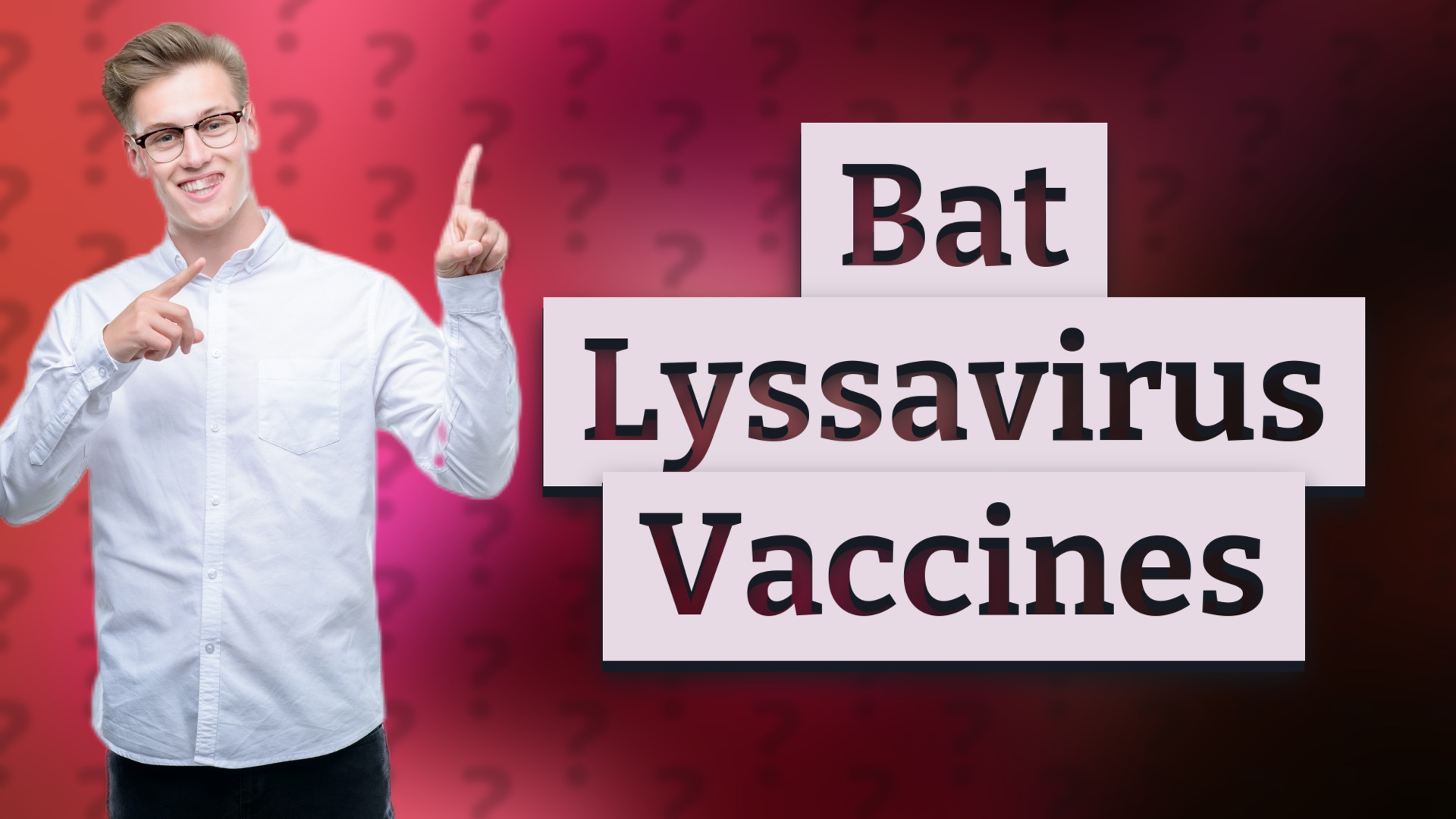 Bat Lyssavirus Vaccines