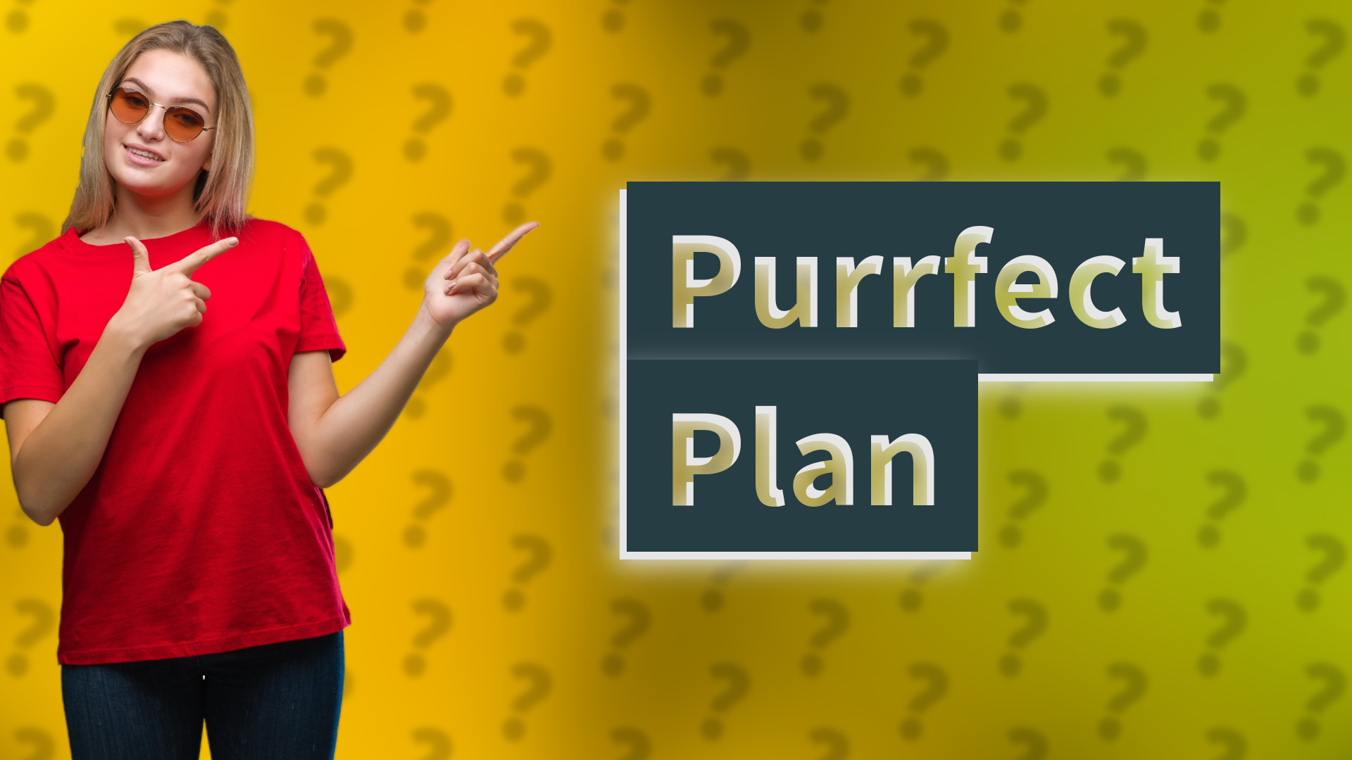 Purrfect Plan