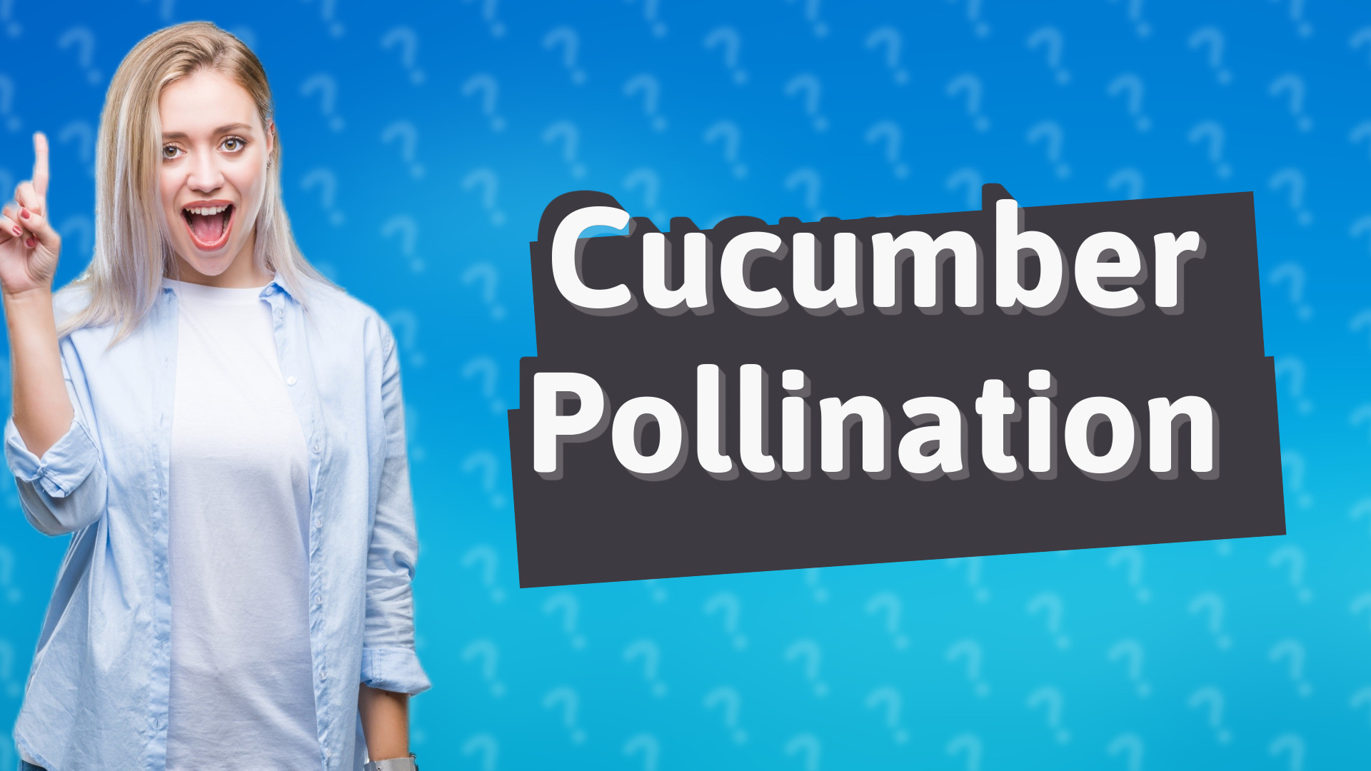 Cucumber Pollination