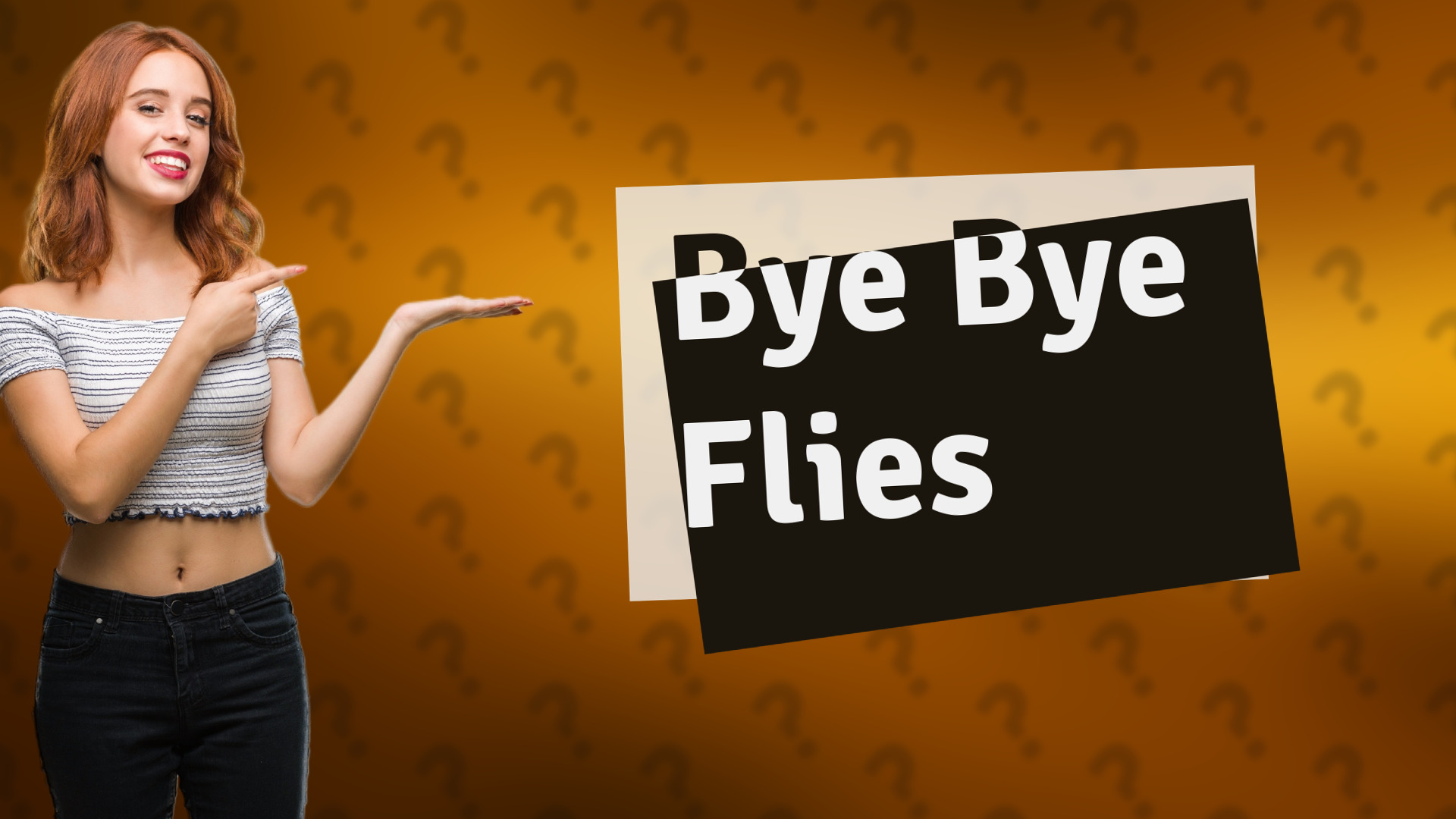 Bye Bye Flies