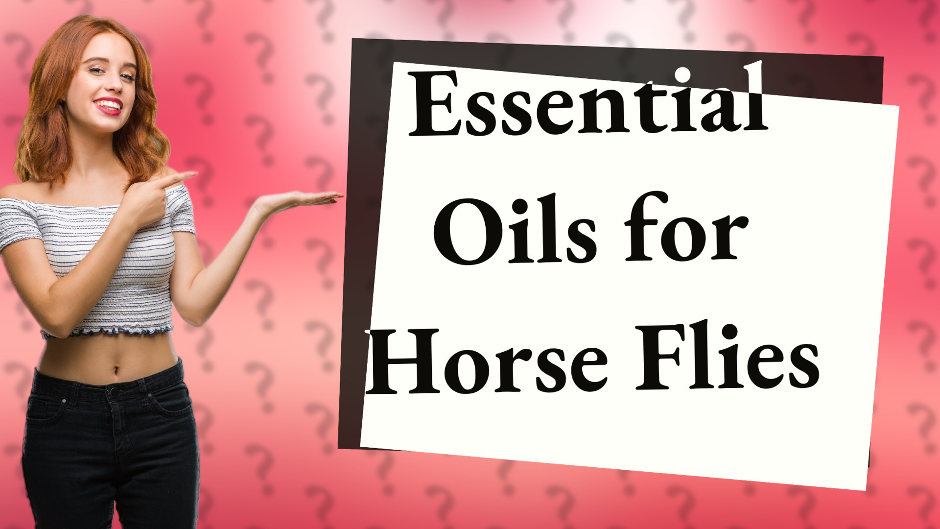 Essential Oils for Horse Flies