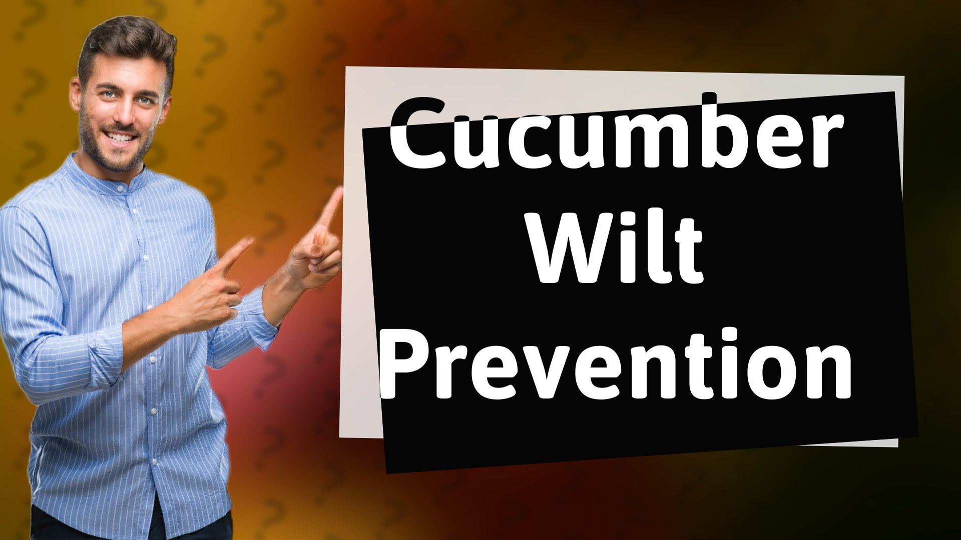 Cucumber Wilt Prevention