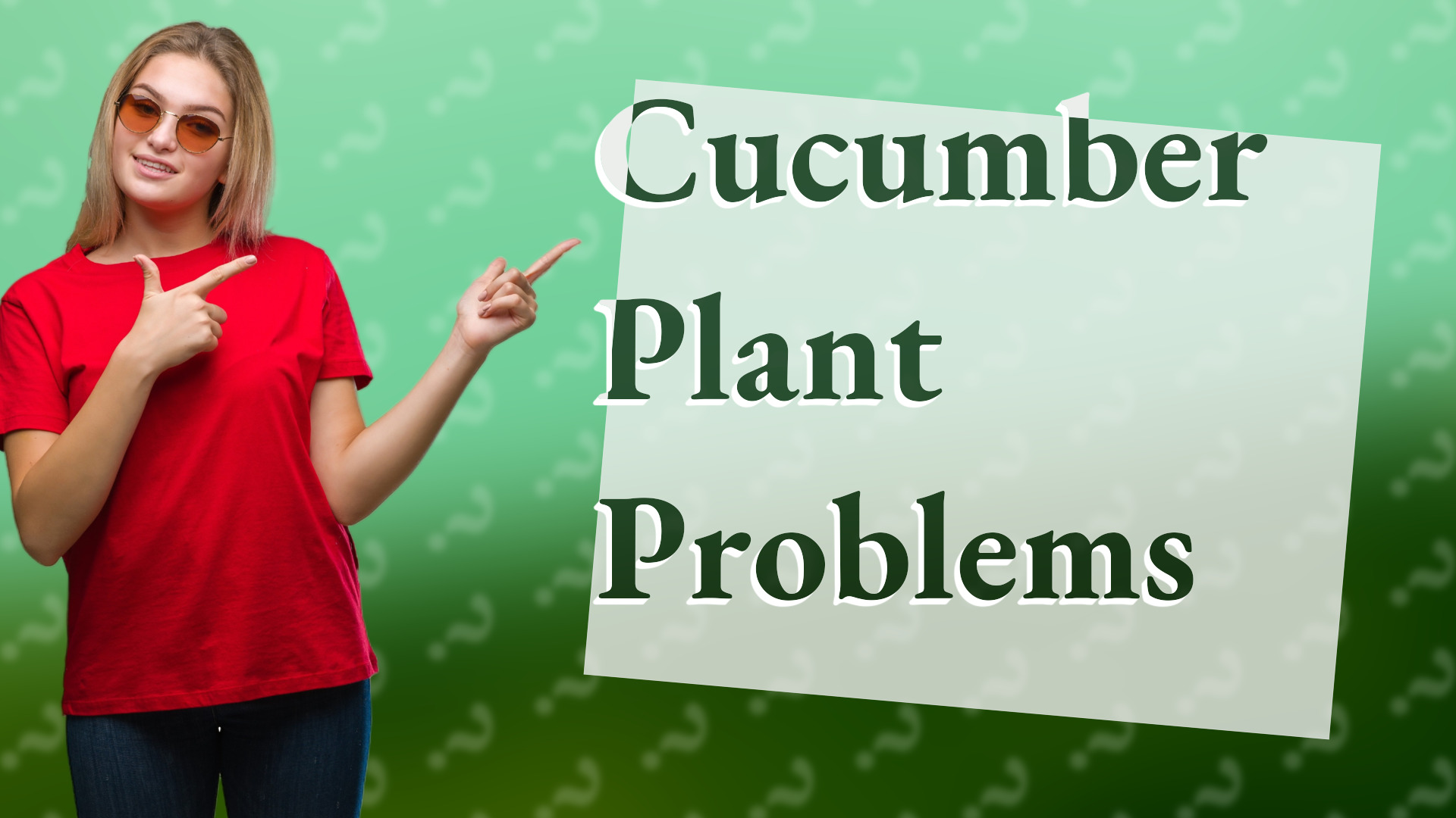 Cucumber Plant Problems