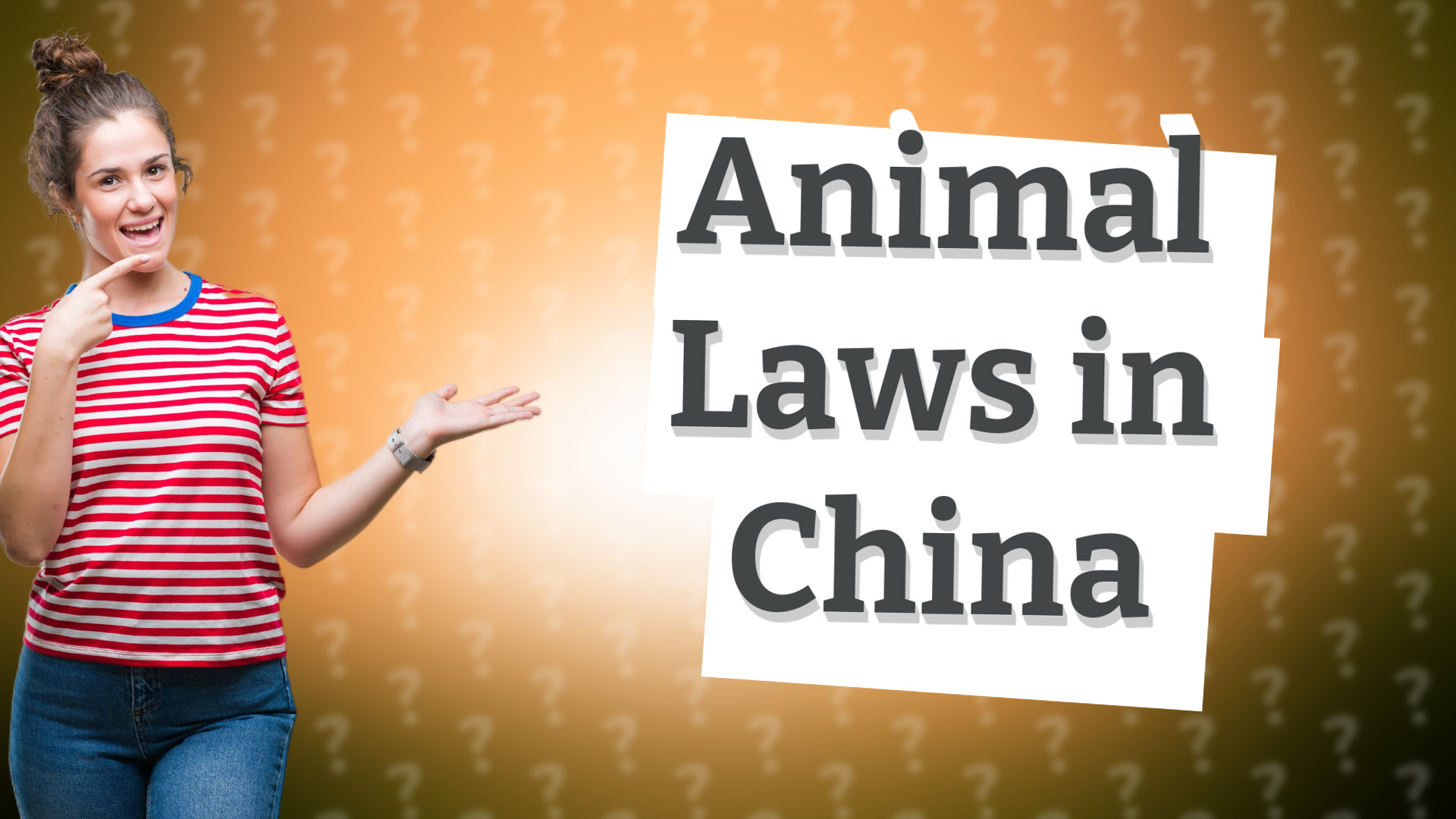 Animal Laws in China