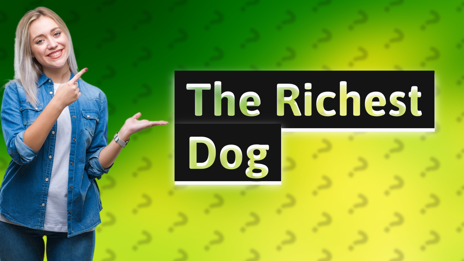 The Richest Dog
