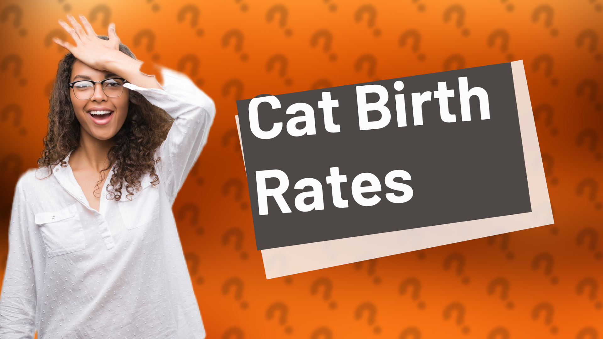 Cat Birth Rates