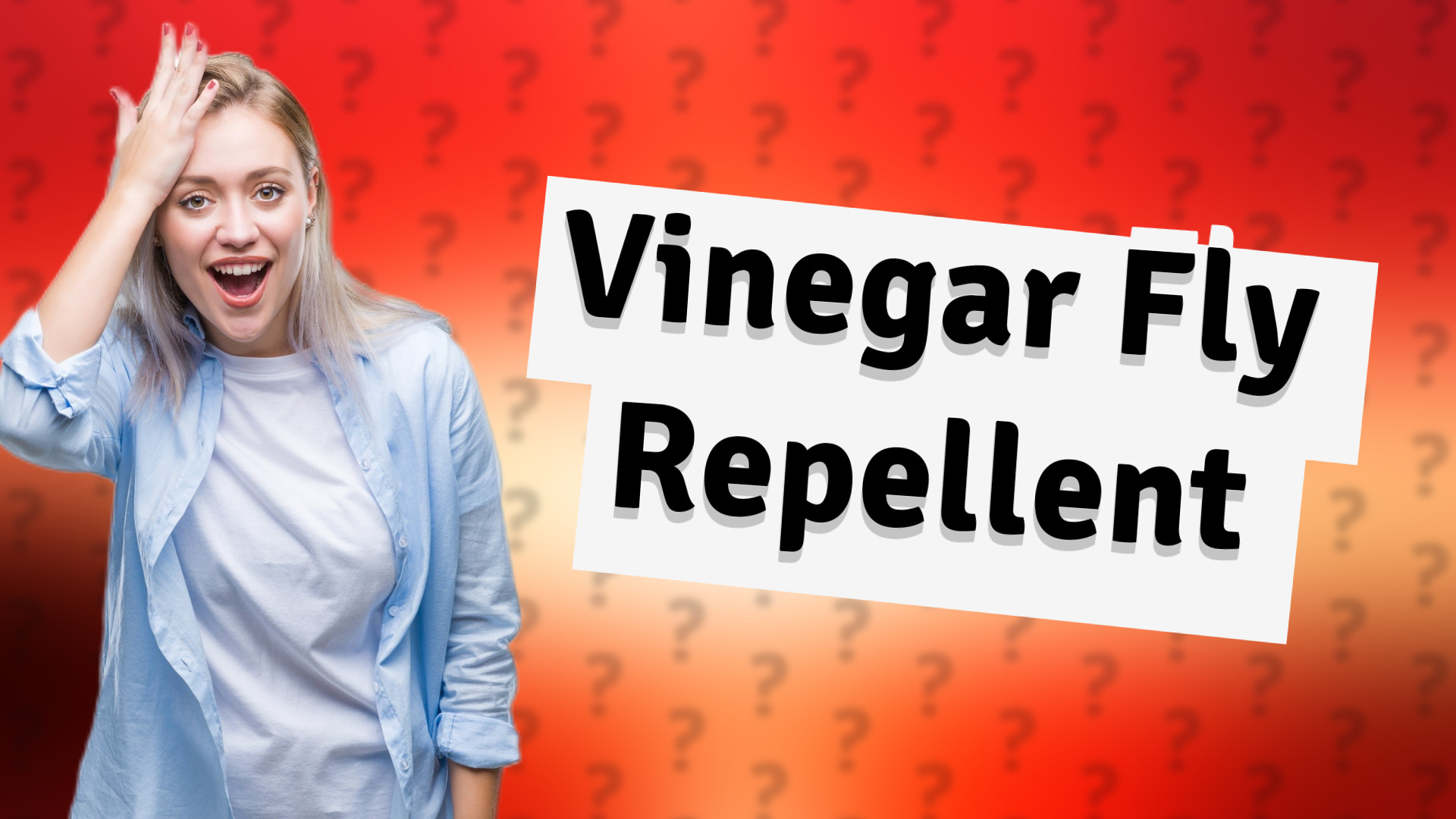 Vinegar Fly Repellent