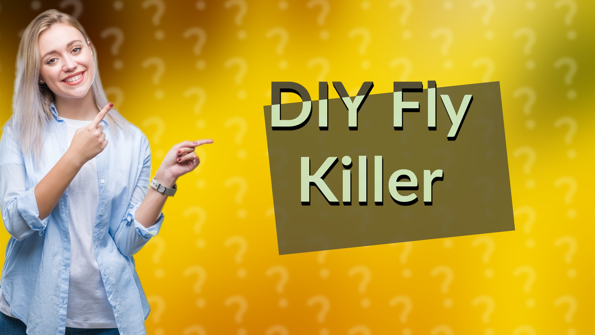 DIY Fly Killer
