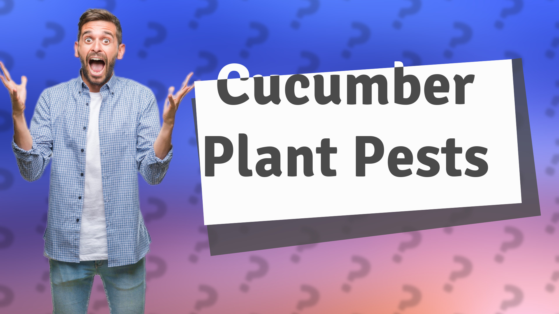 Cucumber Plant Pests