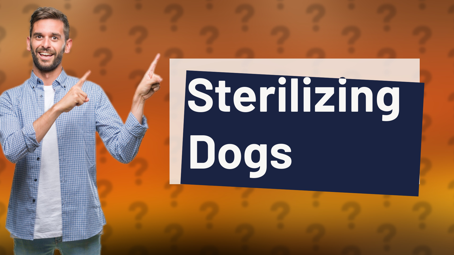Sterilizing Dogs