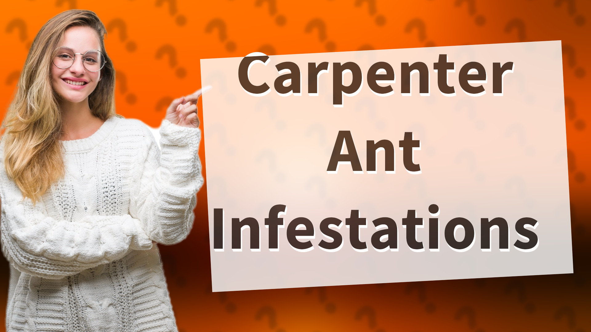 Carpenter Ant Infestations