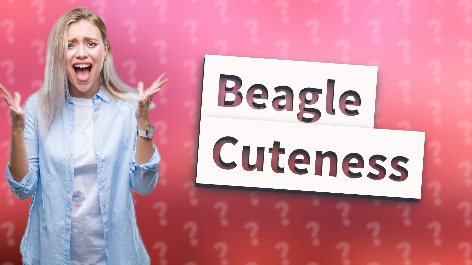 Beagle Cuteness