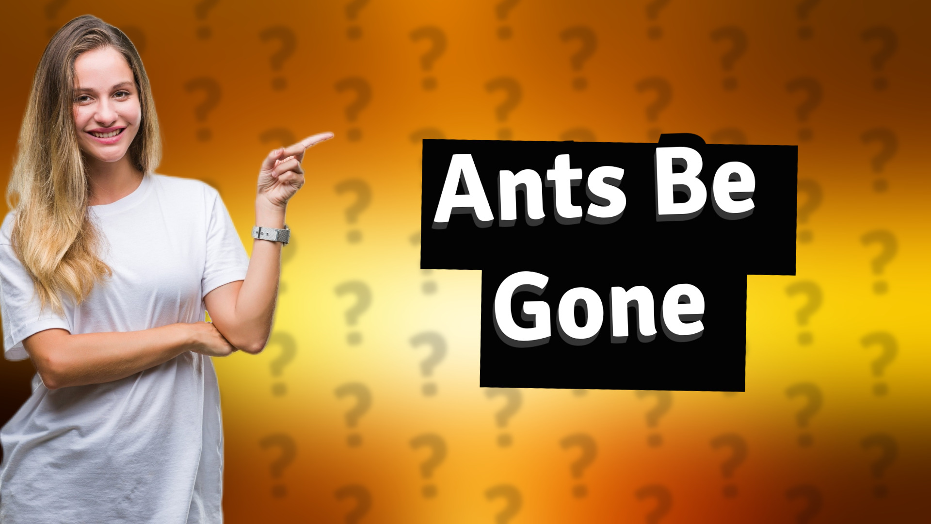 Ants Be Gone