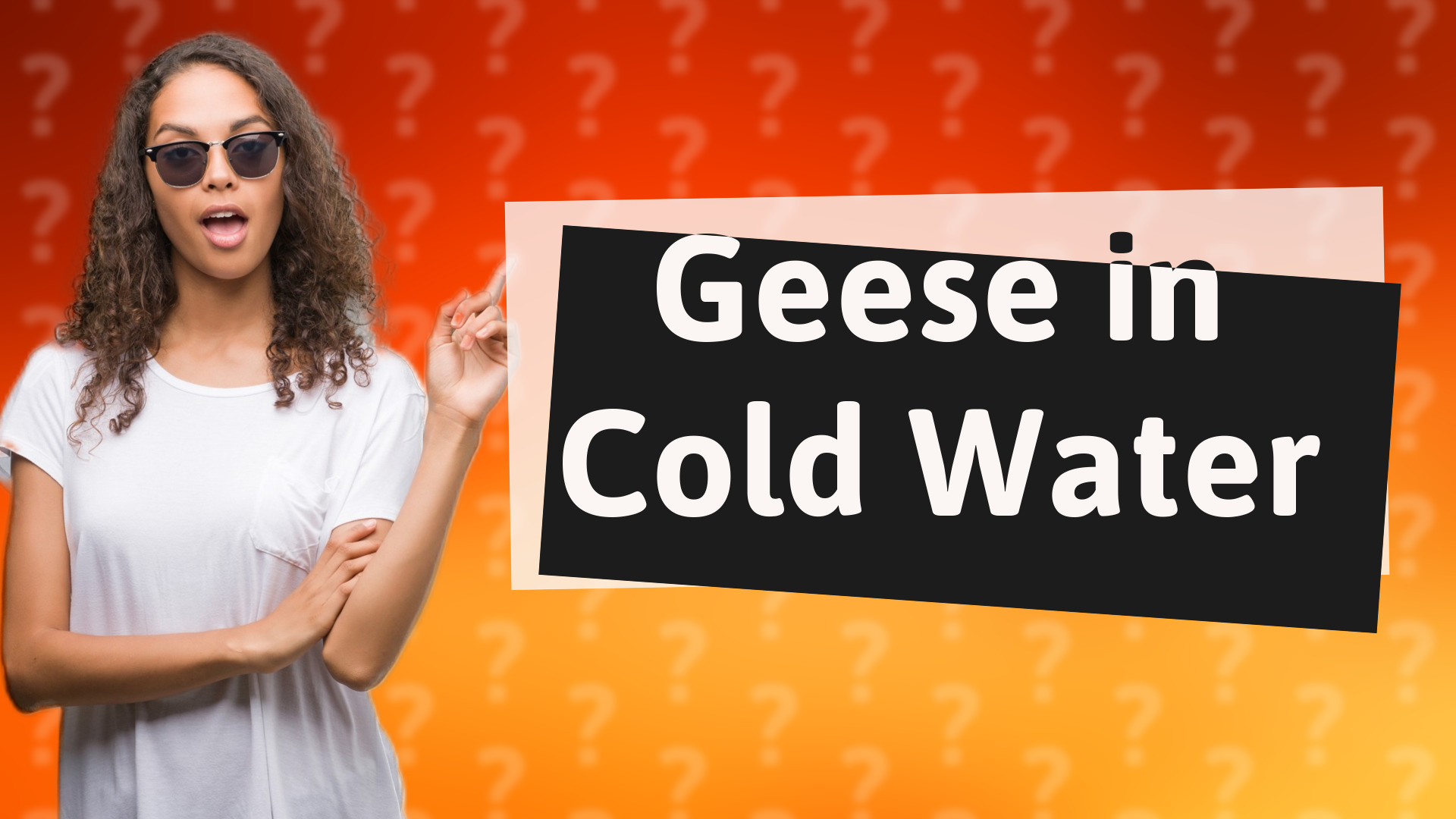 Geese in Cold Water