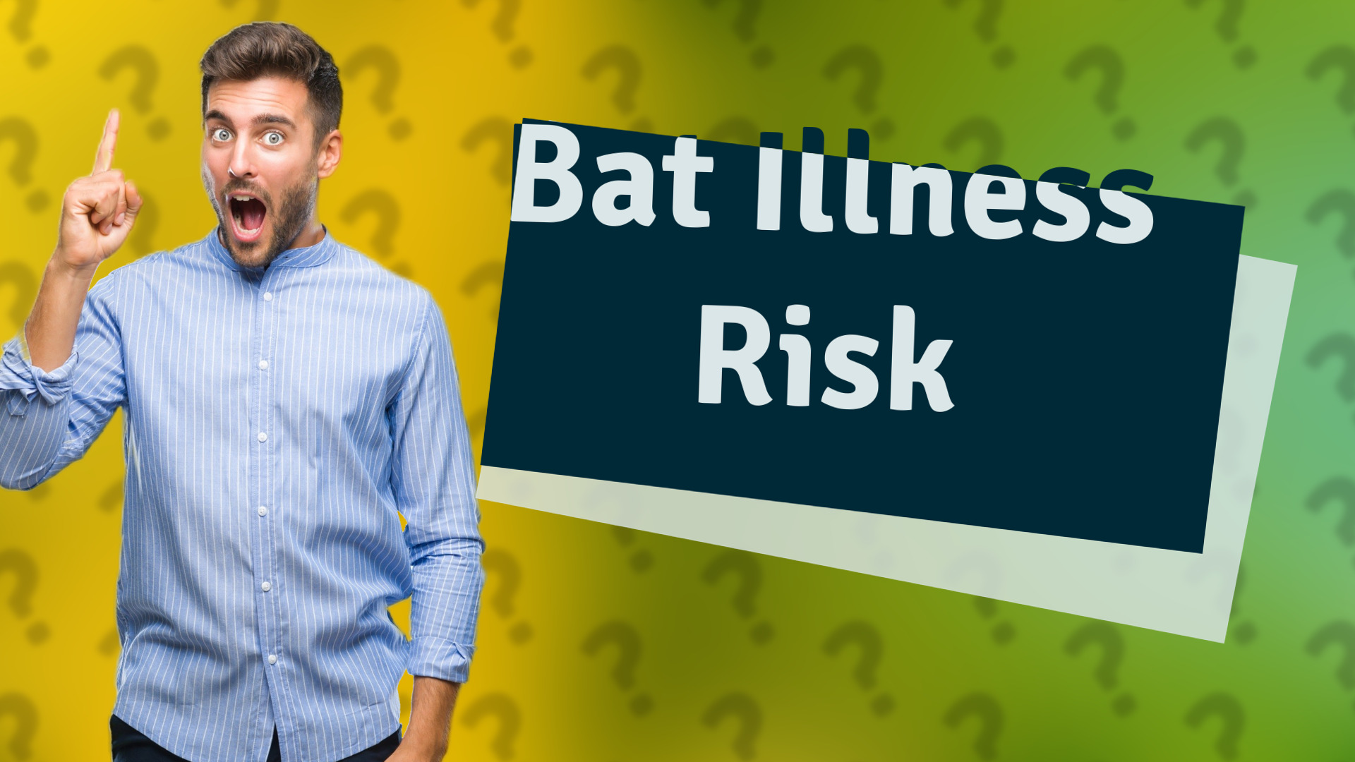Bat Illness Risk