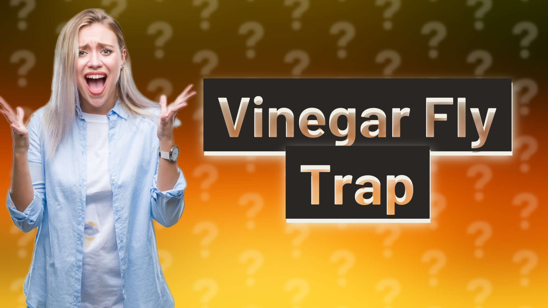 Vinegar Fly Trap